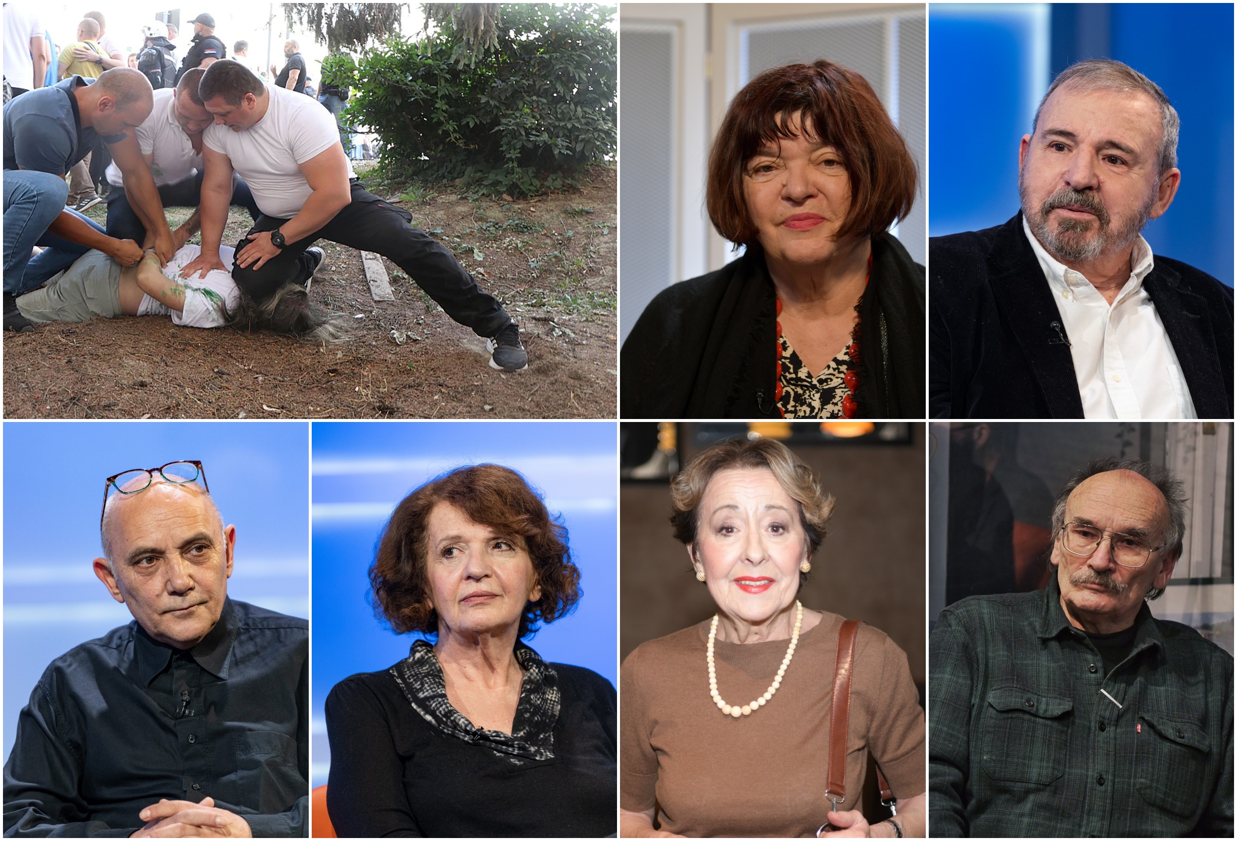 Ceca Bojković, Vesna Rakić Vodinelić, Rale Milenković, Dušan Petričić, Goran Marković i Gorica Popović