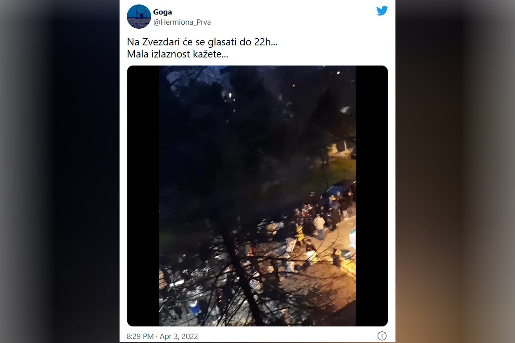 Zvezdara, red, gužva, glasanje Foto: Twitter/Goga/@Hermiona_Prva