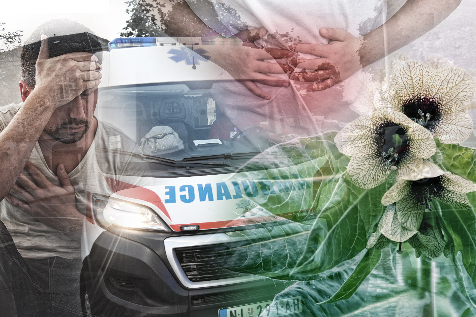 trovanje bunikom deca i otac se otrovali
