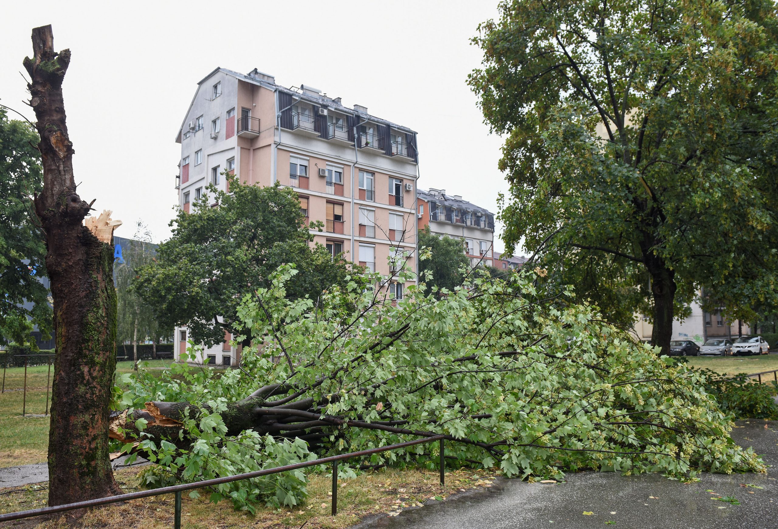 Kragujevac, 30. jula 2022.-Posledice nevremena u Kragujevcu. Najavljeno nevreme sa kisom i gradom pogodilo je popodne Pomoravlje, Sumadiju, Banat i Srem.Jak grad je padao je u Cacku, Kragujevcu i okolni. FOTO TANJUG/ NEBOJSA RAUS/ nr
