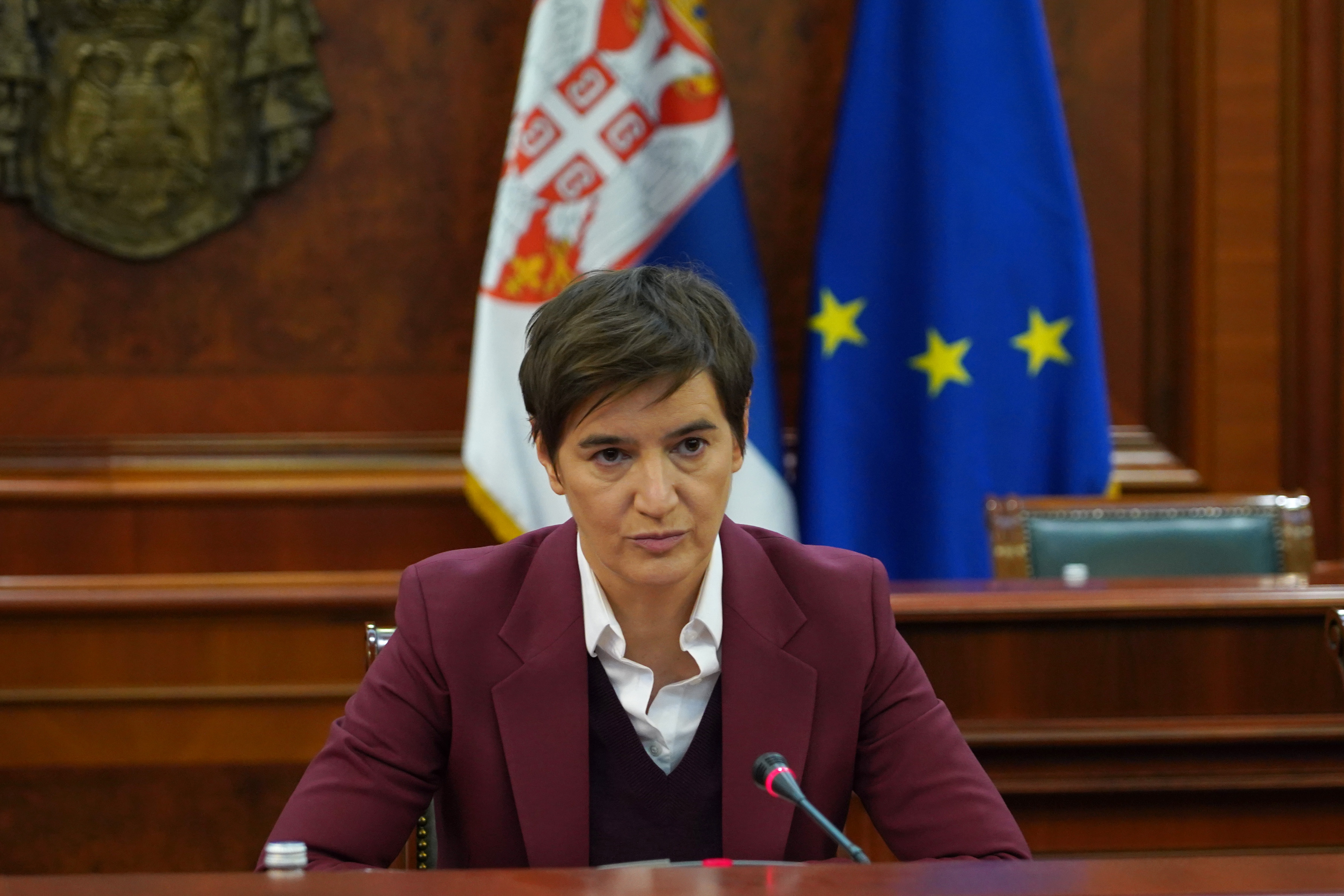 ANA BRNABIC