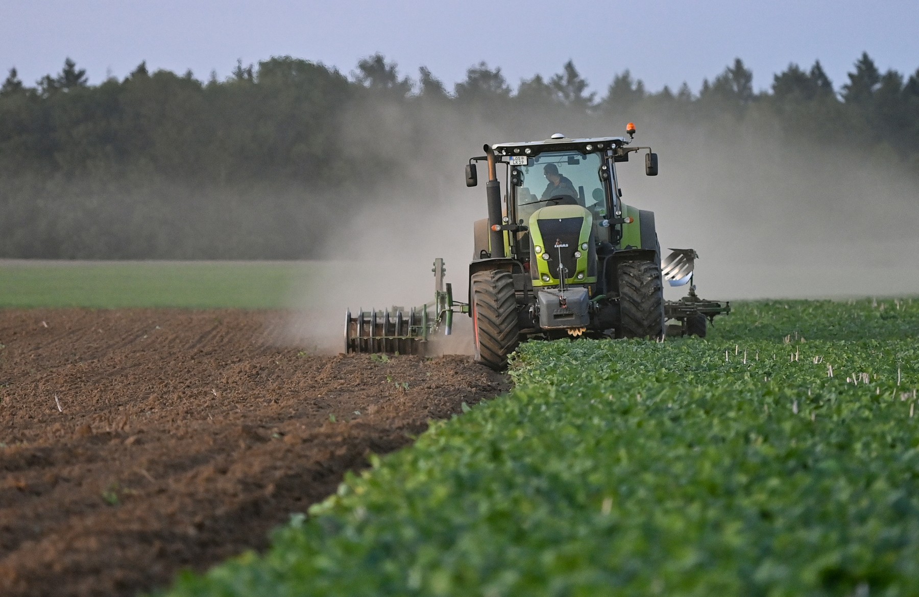 profimedia-0558892357