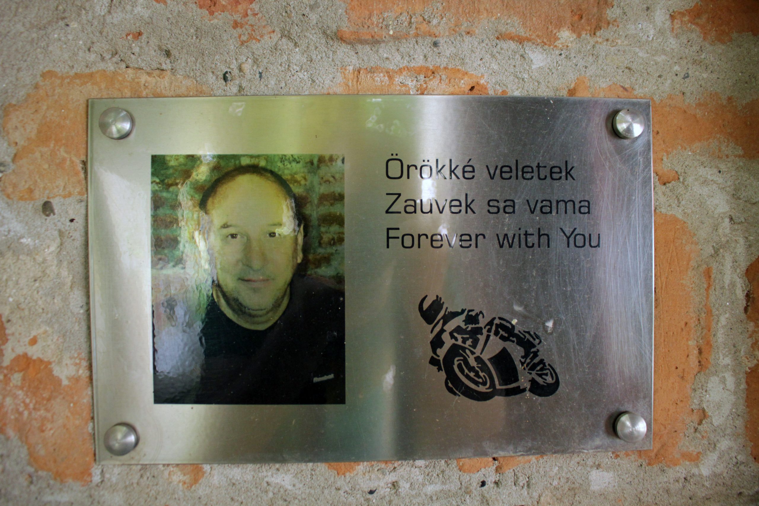 šandor farkaš poslao nenad nesovic u dogovoru sa ljubicom sokić