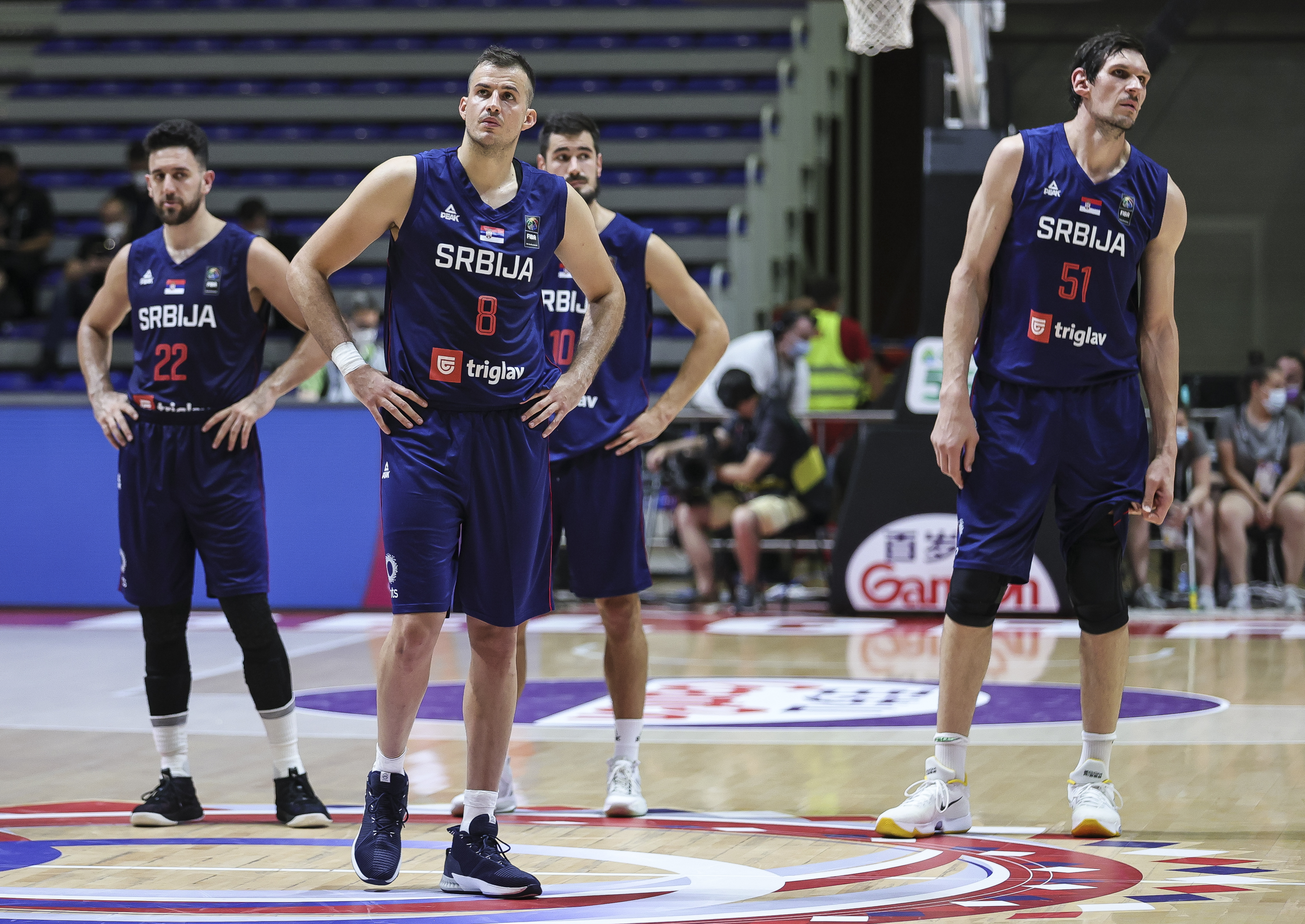 Nemanja Bjelica, Nikola Kalinić