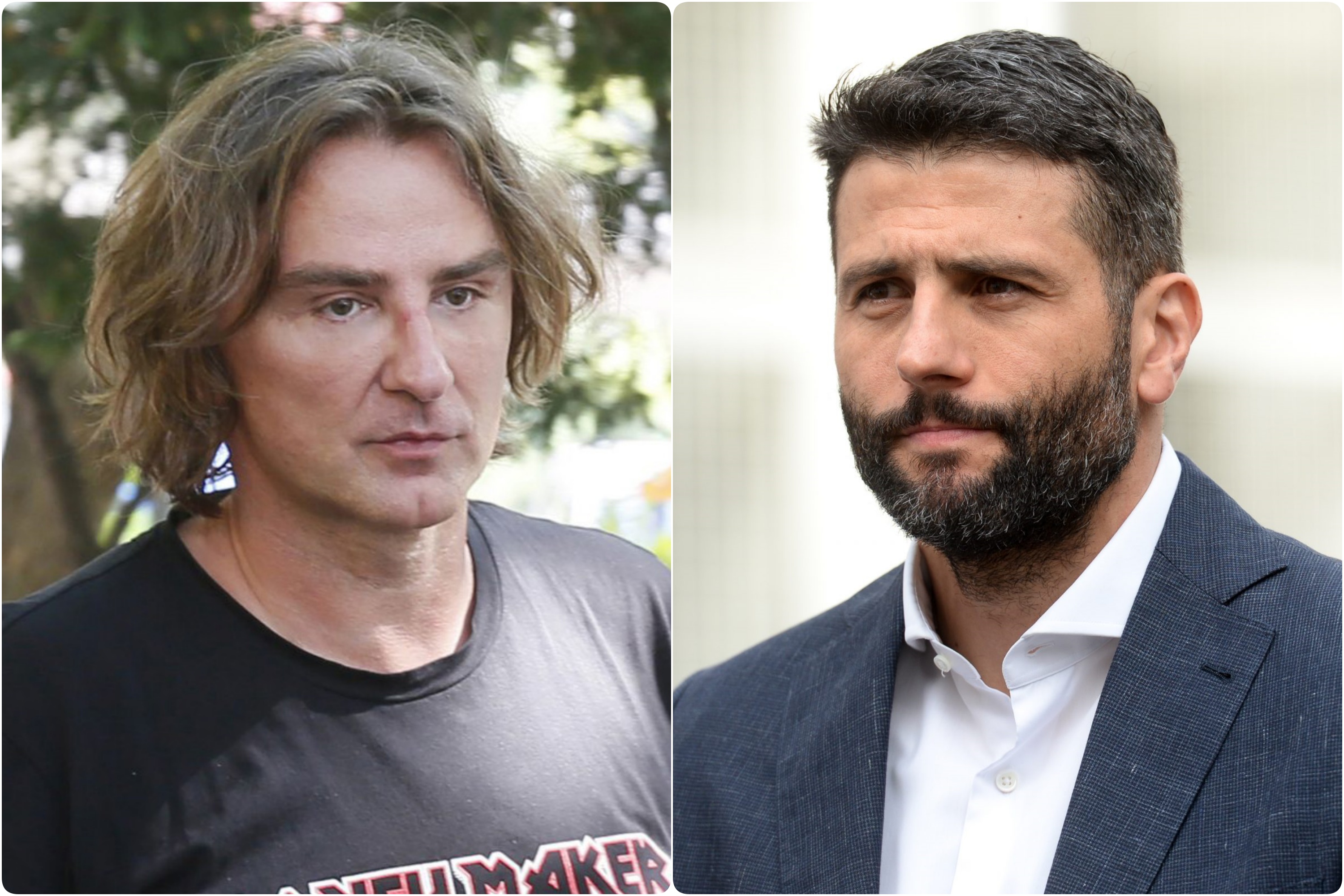 mitrovic sapic