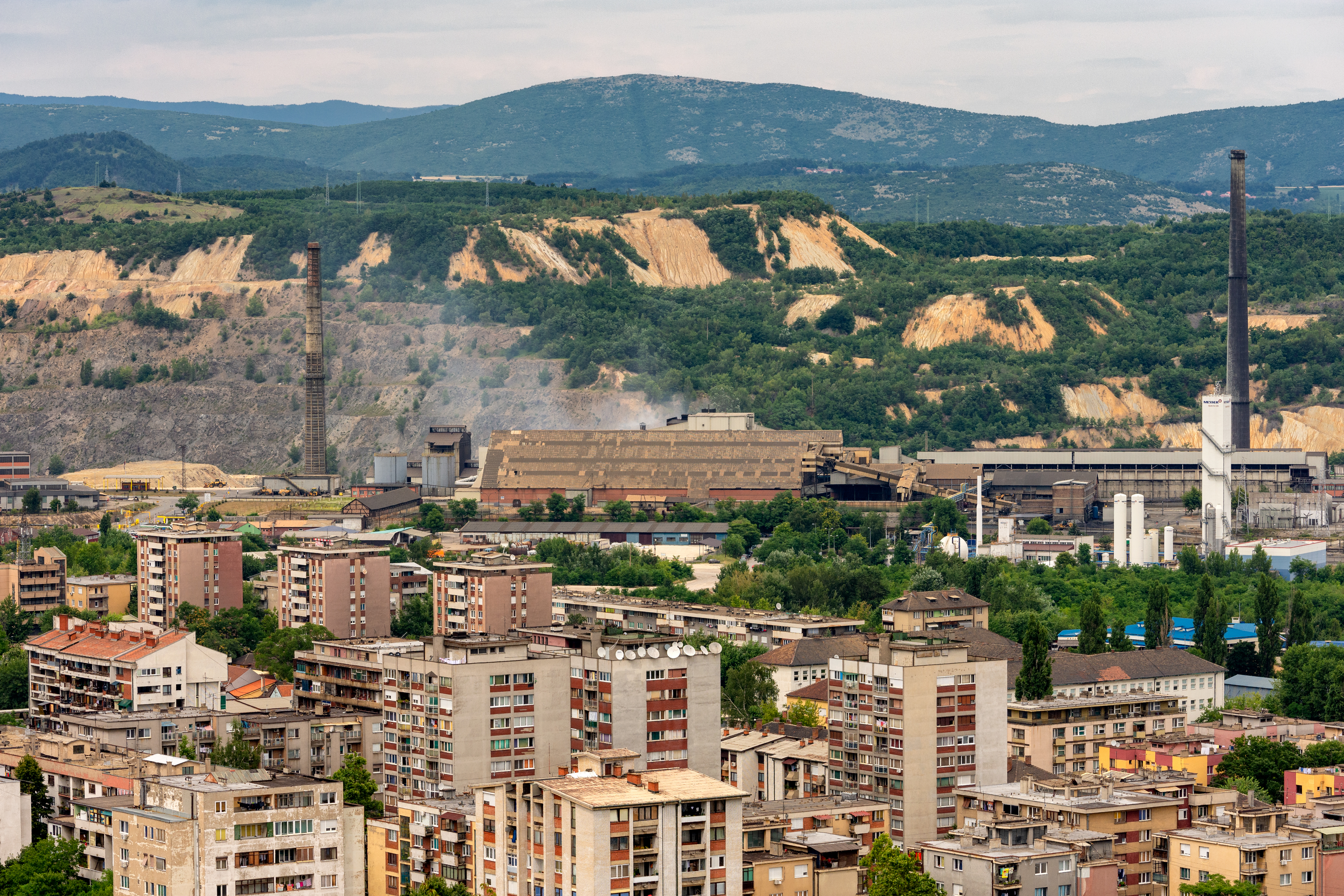 shutterstock_1452326279 Mirko Kuzmanovic