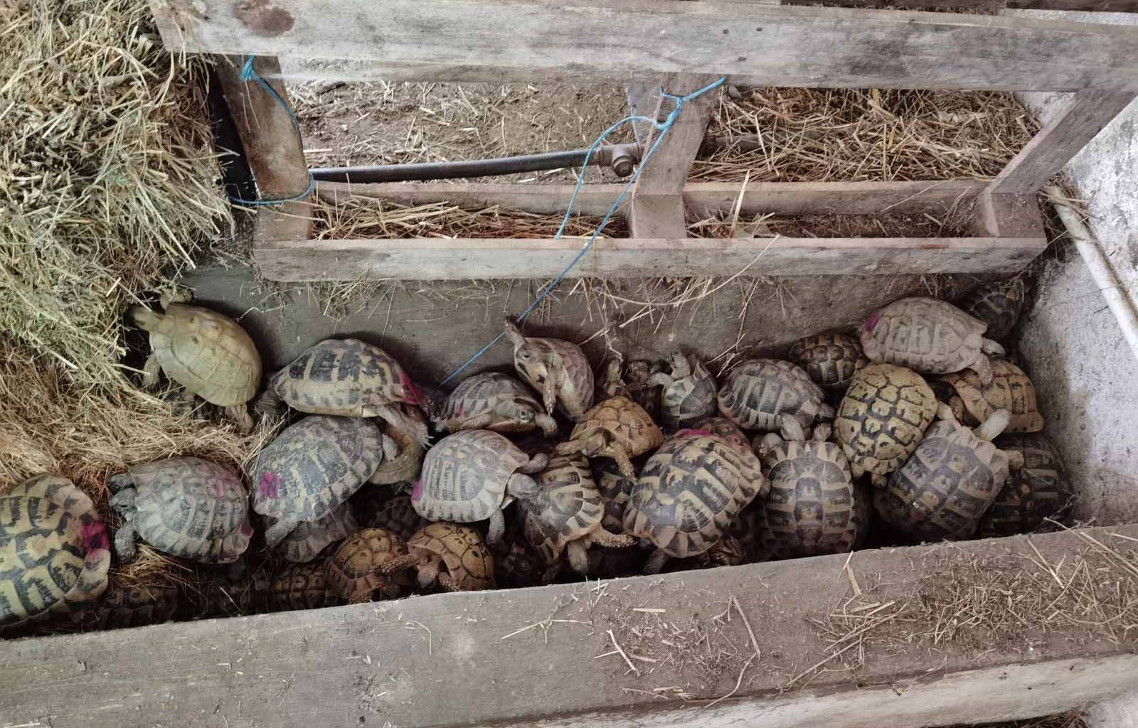 MUP-Saopstenje-Jedinica za suzbijanje ekoloskog kriminala i zastite zivotne sredine