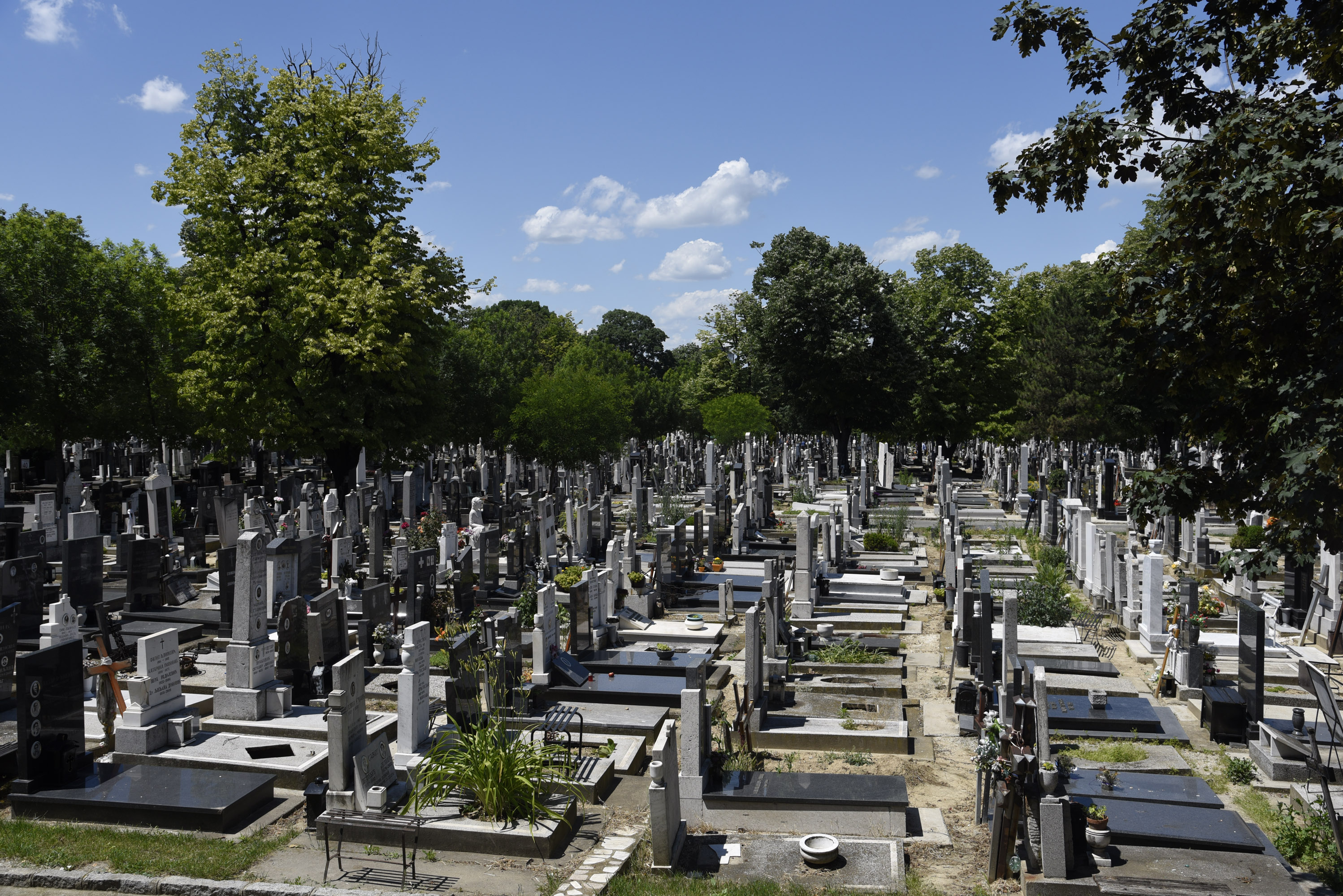 Groblje Foto:Nemanja Jovanović