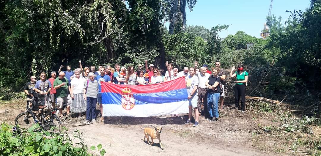 Seča šume, šuma Foto: Vesna Galecic
Fotografije poslala Ana Lalić