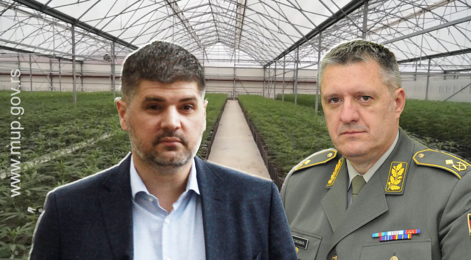 marihuana-6-foto-screenshot-mup-rs