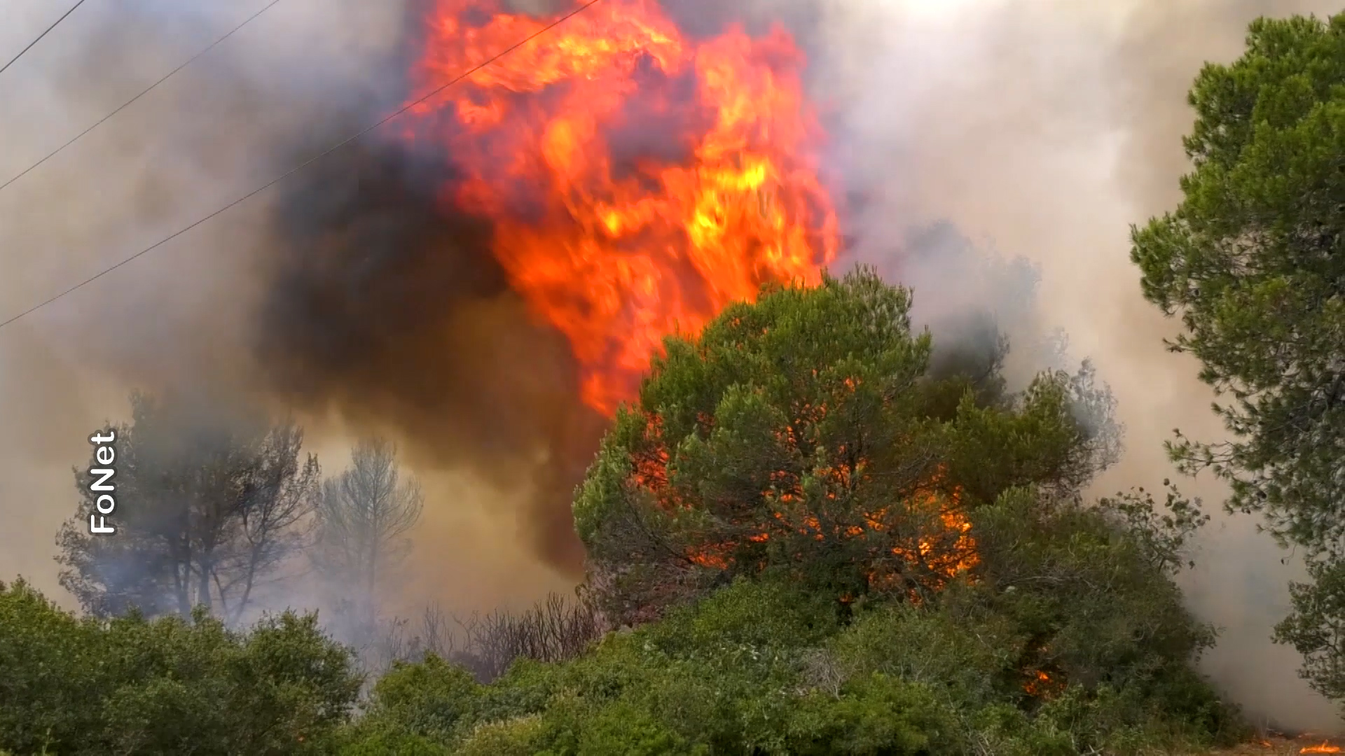 Požar kod aerodroma u Puli_MM