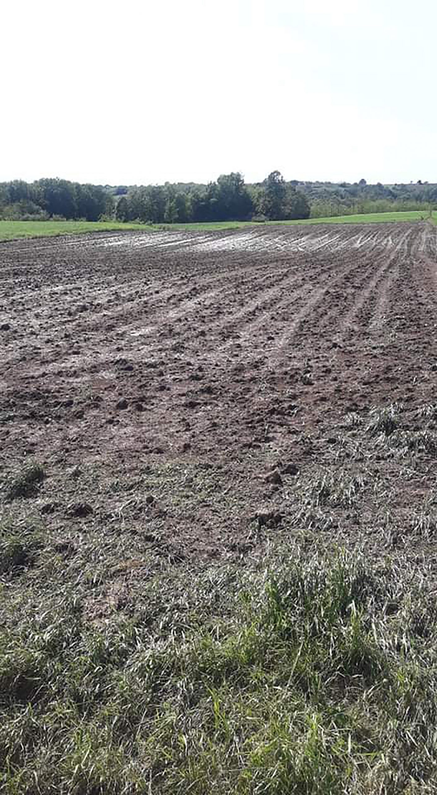 Aranđelovac 16.06.2022 Padavina, grad, grad-led Grad, nepogoda, velika steta poljoprivredi, Arandjelovac