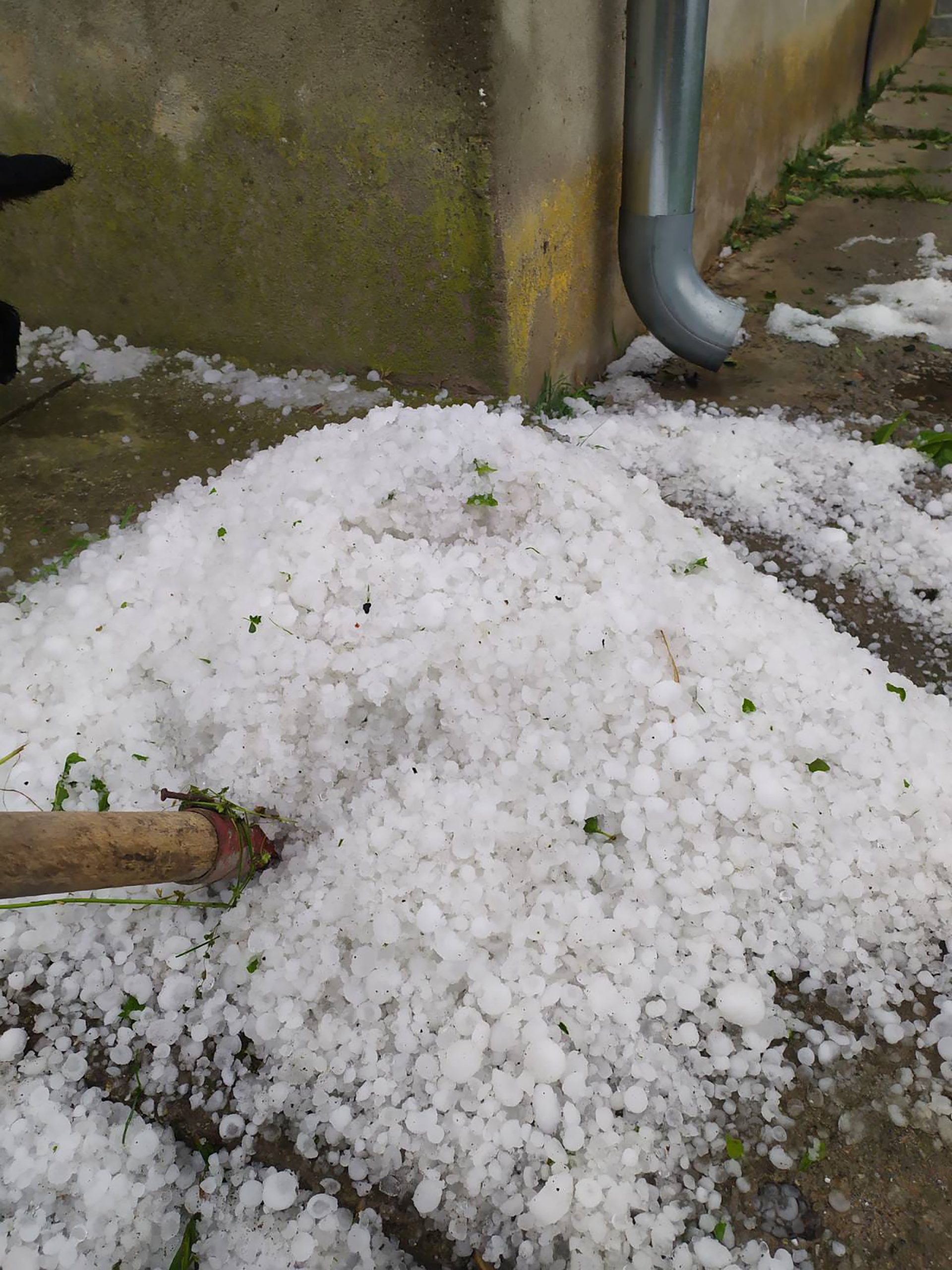 Aranđelovac 16.06.2022 Padavina, grad, grad-led Grad, nepogoda, velika steta poljoprivredi
