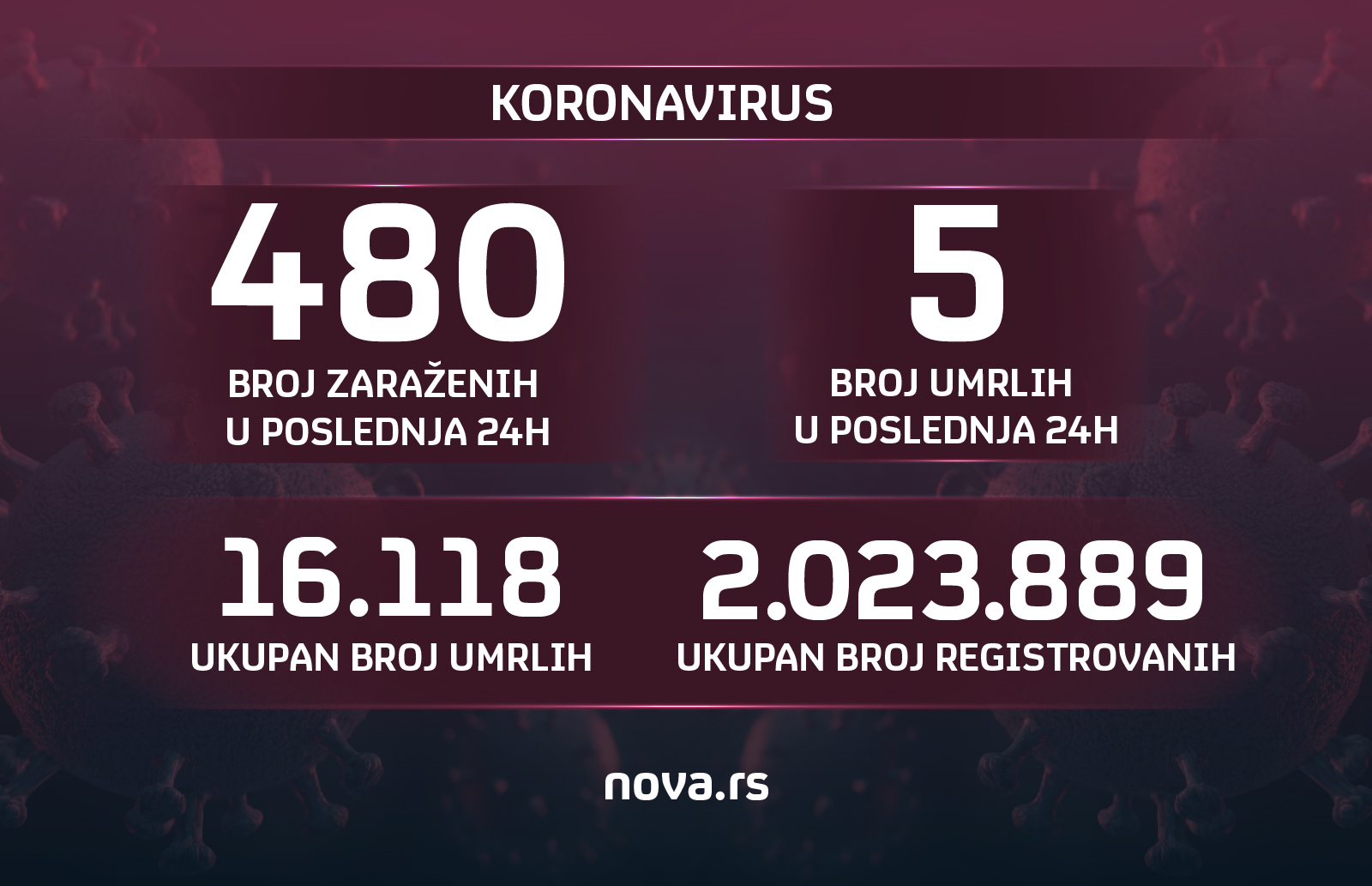 korona grafika