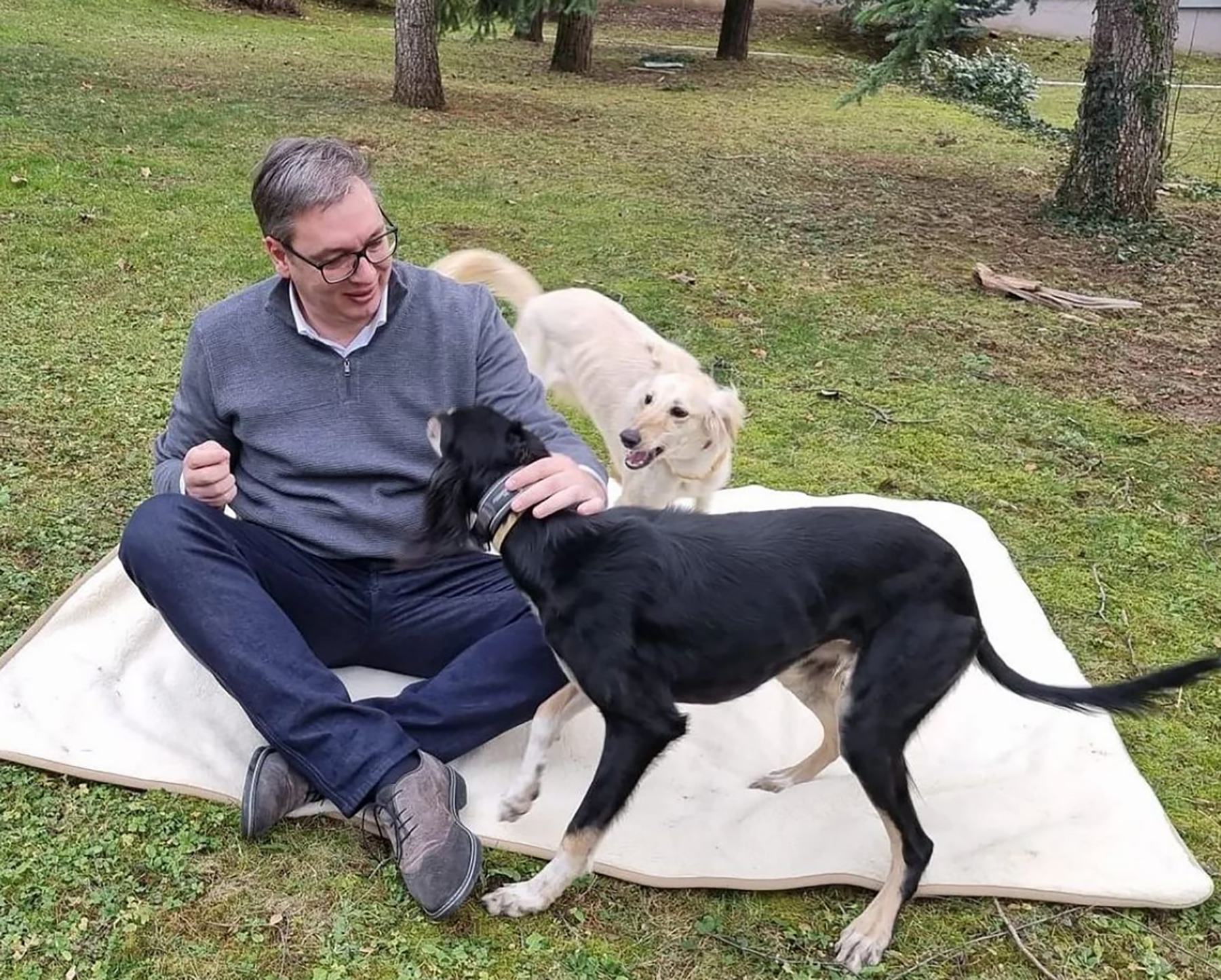 Aleksandar Vucic i psi Sarki i Zad pas igranje