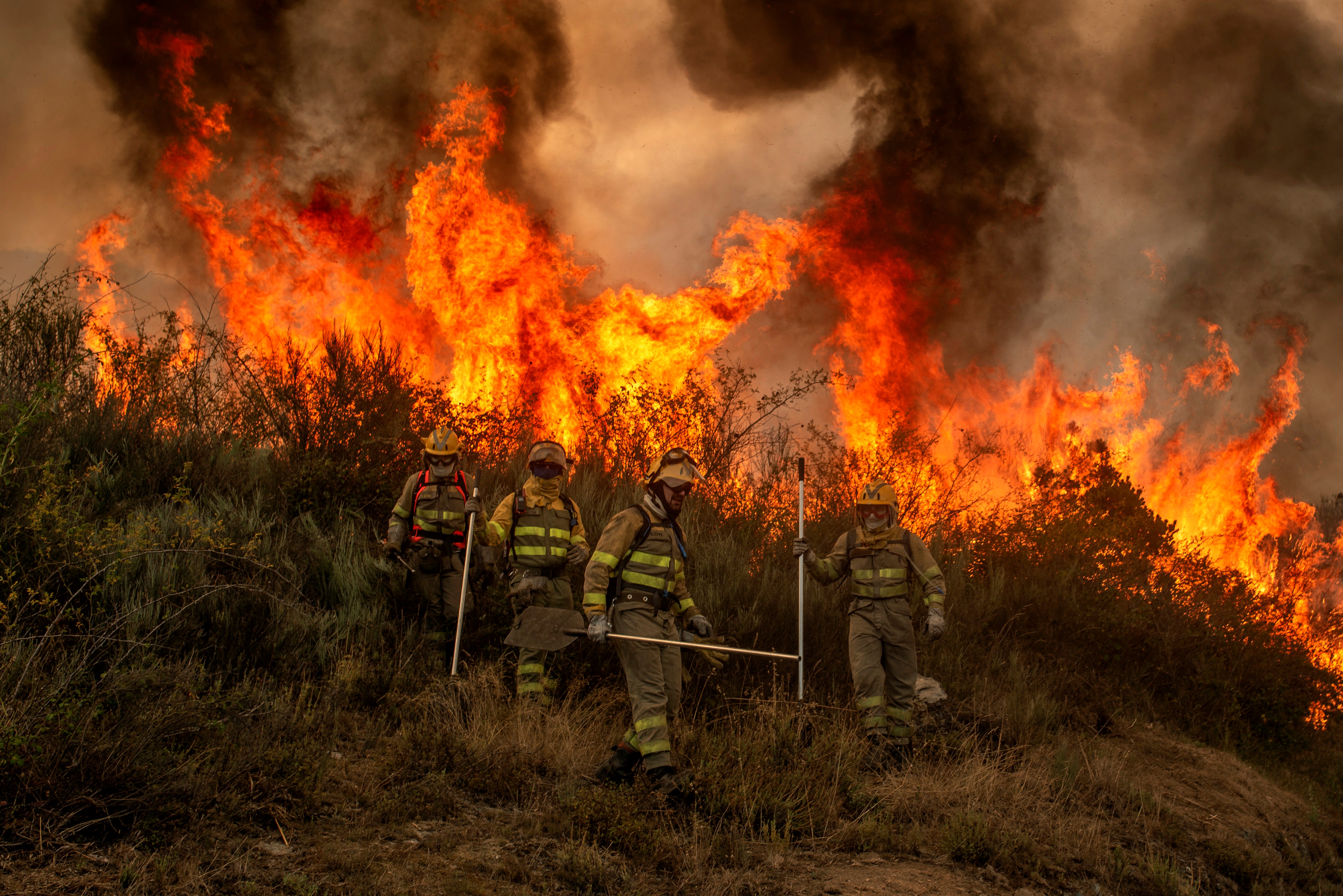 Požar Španija, Forest fire in Rubia, Ourense
