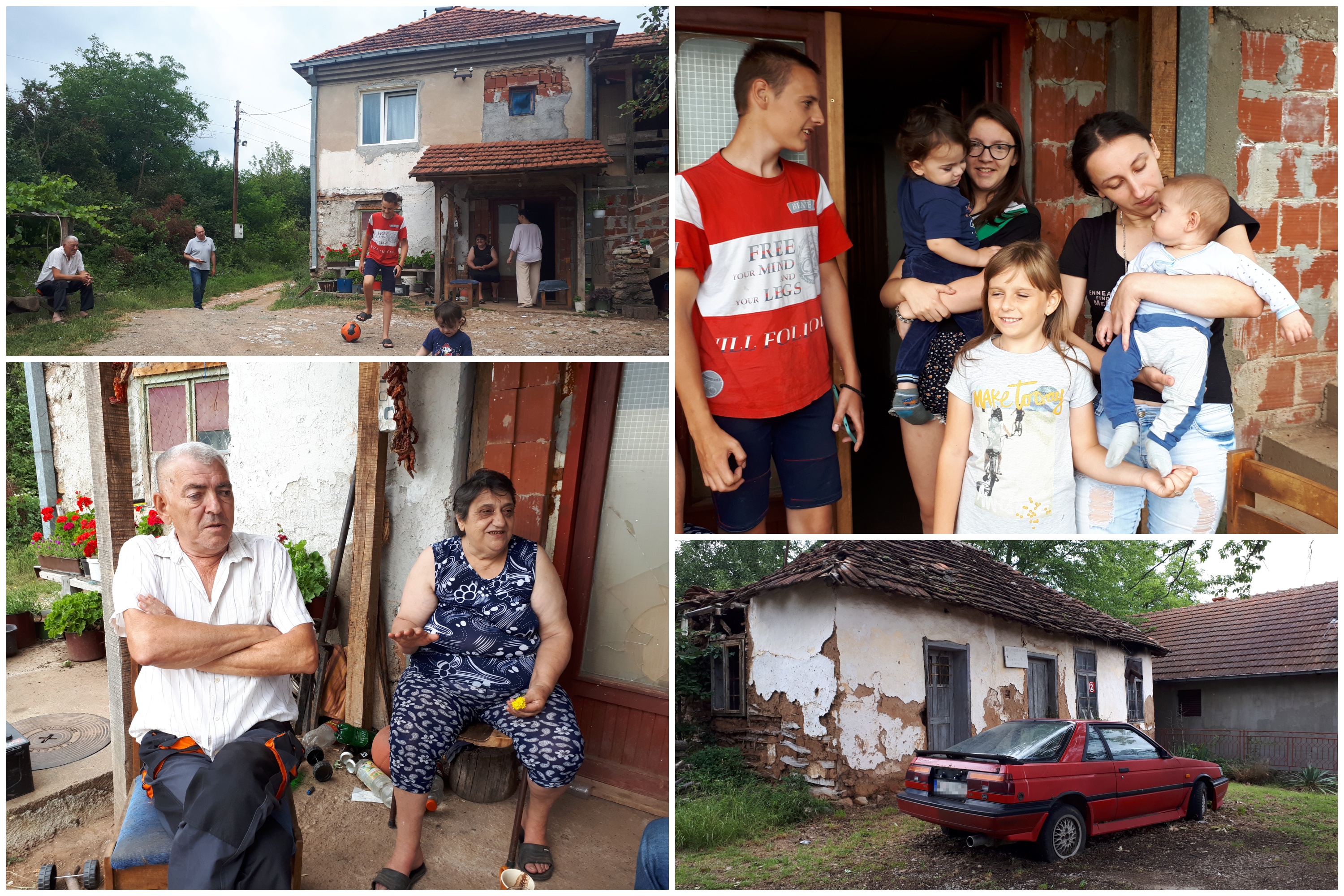 porodica mladenovic kombo