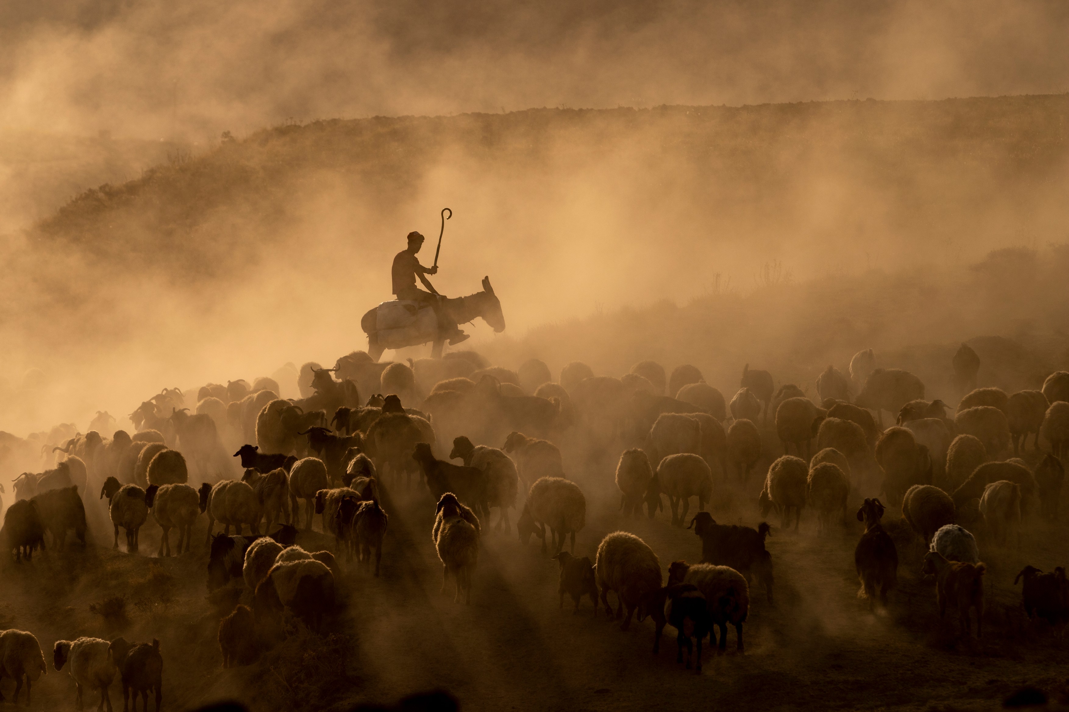 profimedia-0704357683