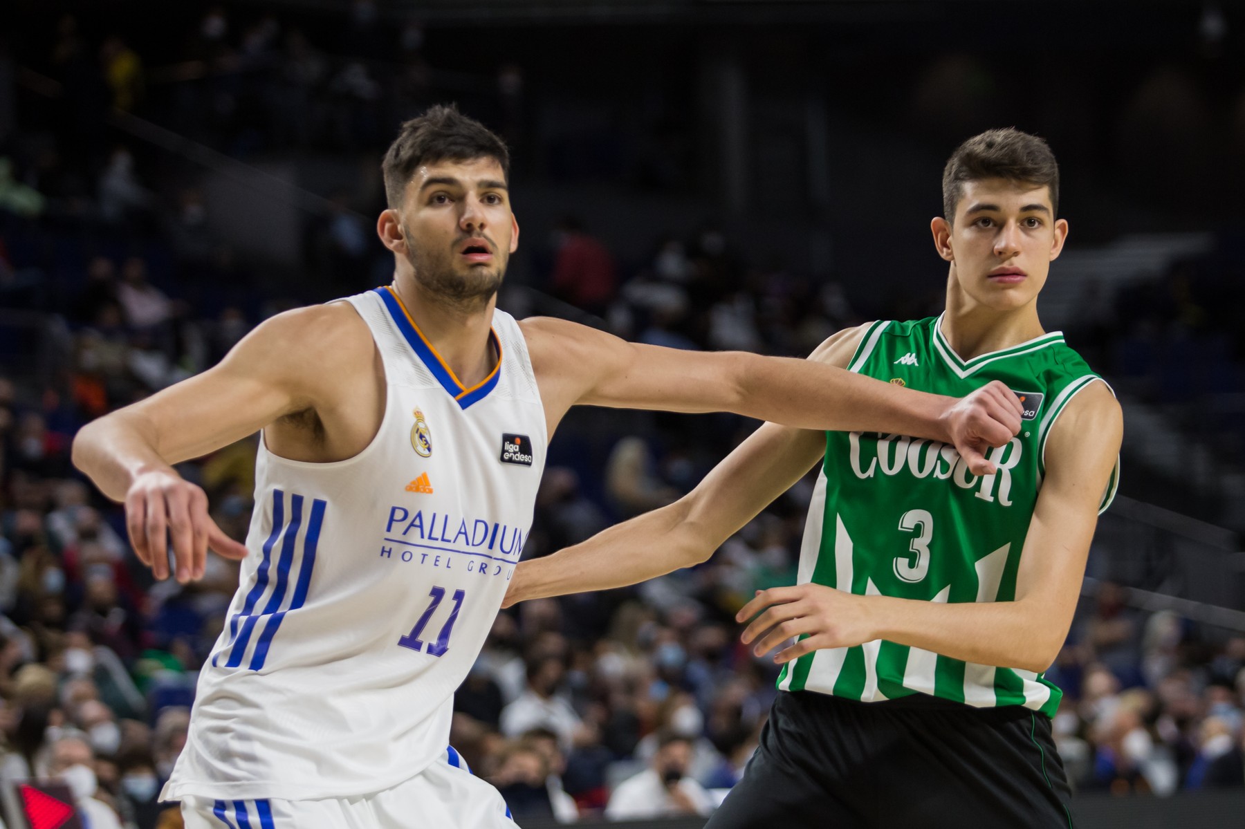 Spain: Real Madrid - Coosur Real Betis