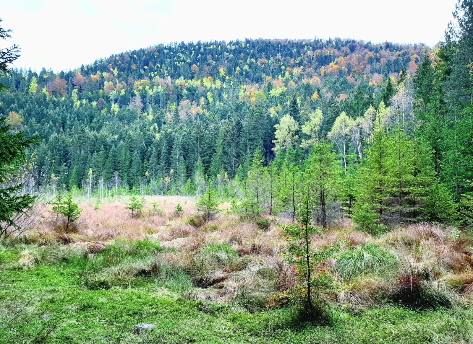 Čudo prirode kod Studenice - Košaninova jezera