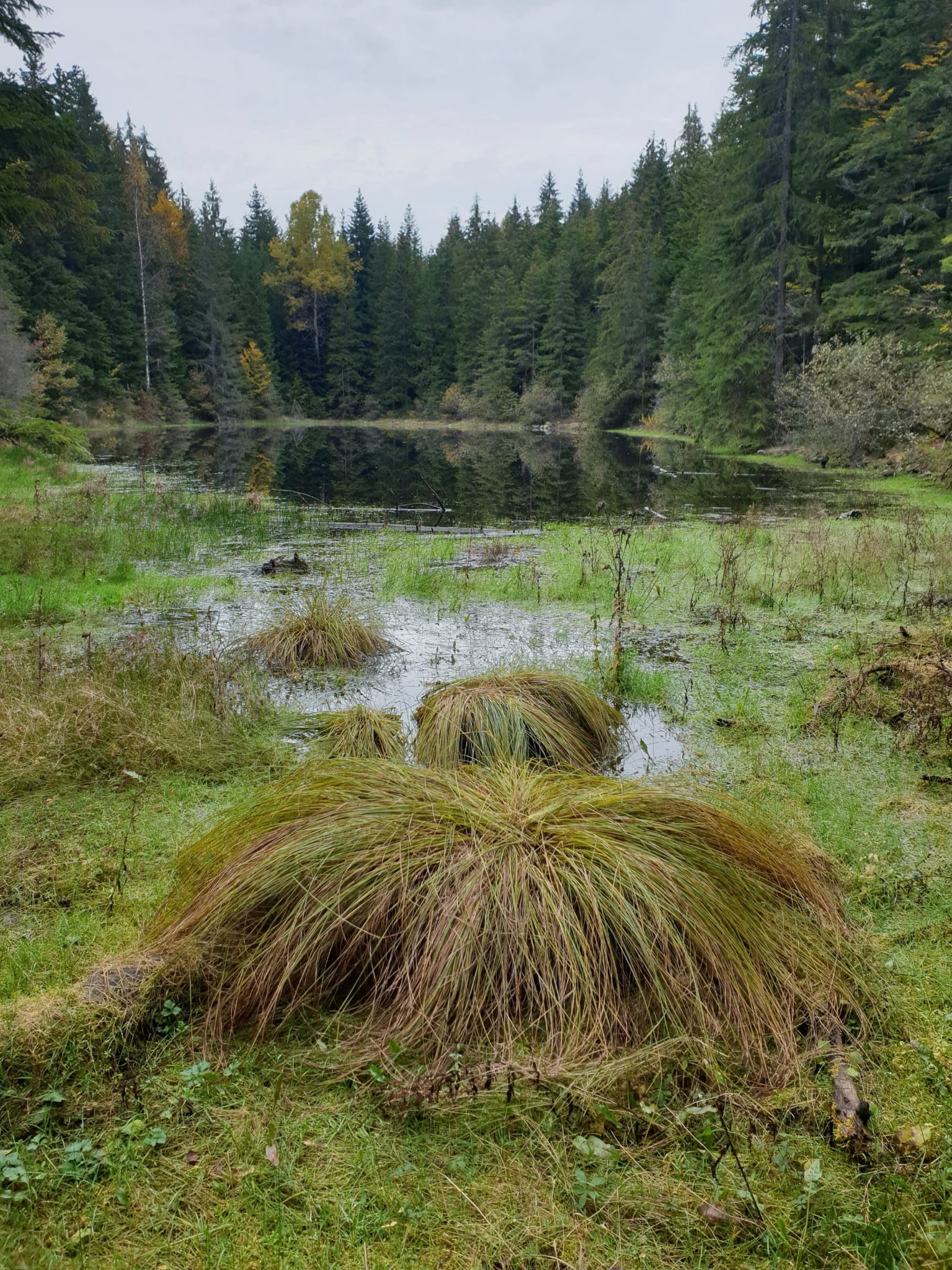 Čudo prirode kod Studenice - Košaninova jezera