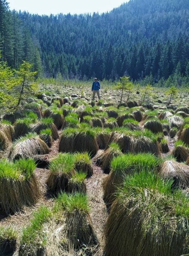 Čudo prirode kod Studenice - Košaninova jezera