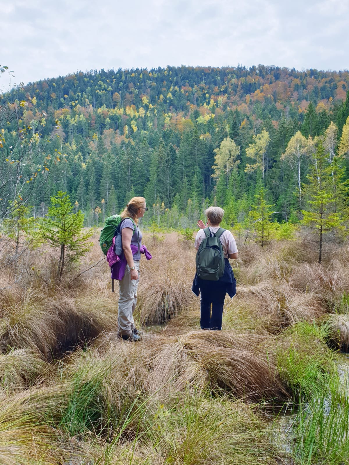 Čudo prirode kod Studenice - Košaninova jezera