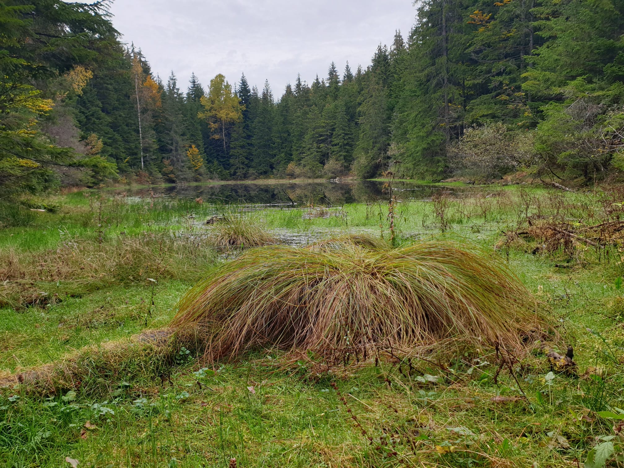 Čudo prirode kod Studenice - Košaninova jezera