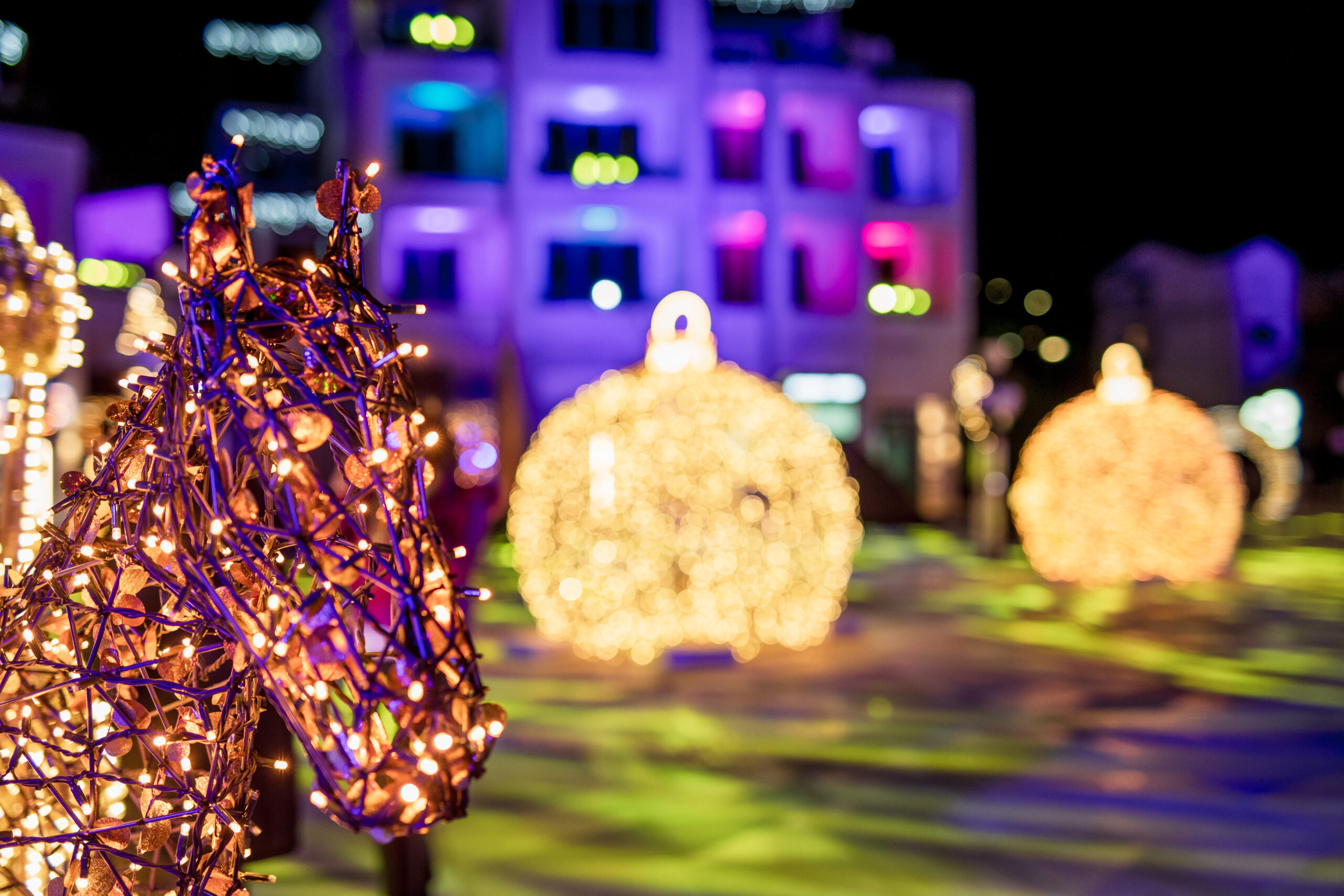 Portonovi, putovanje, zima, PR Foto: Promo