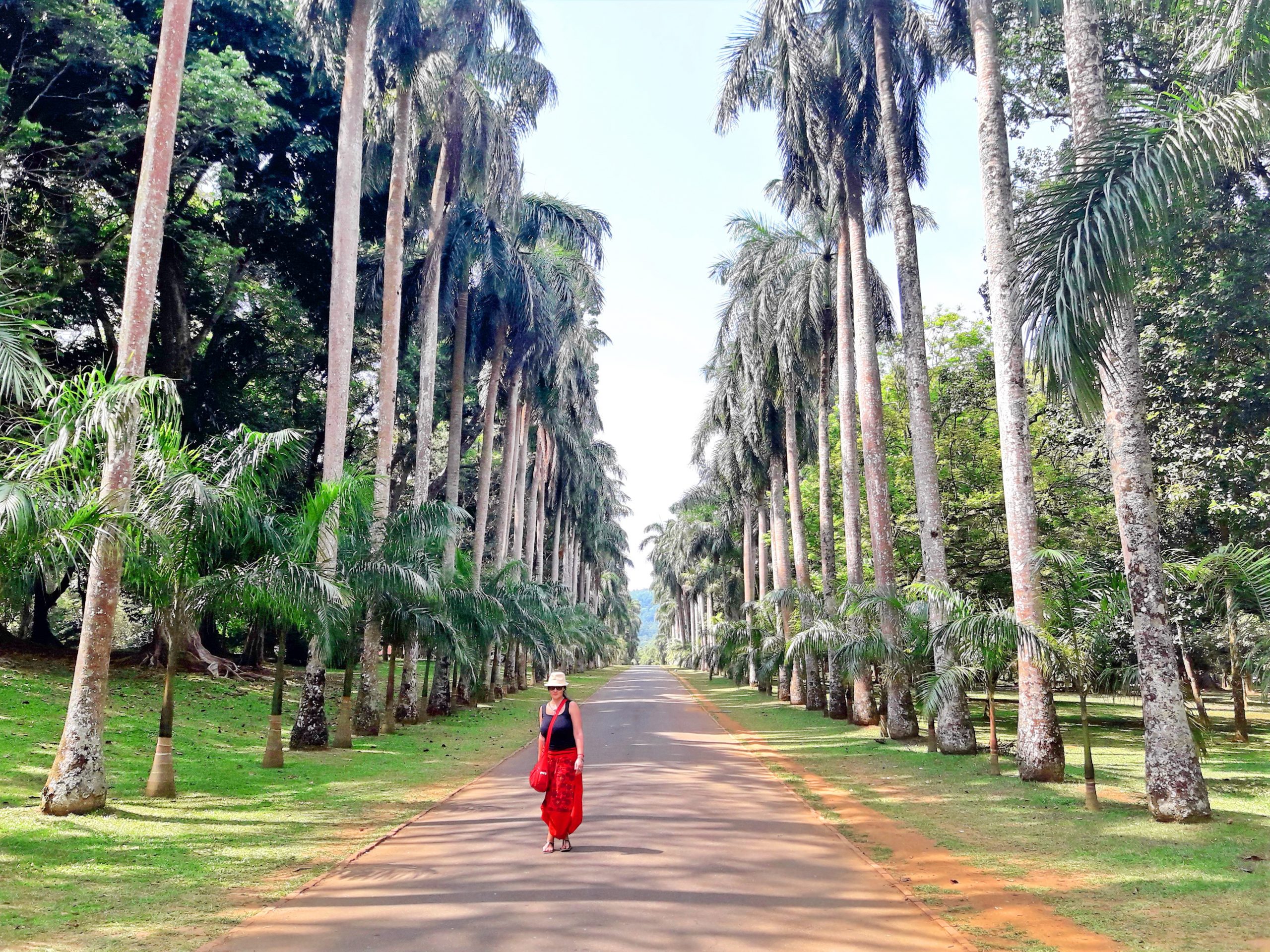 Nataša Vuković o Šri Lanki