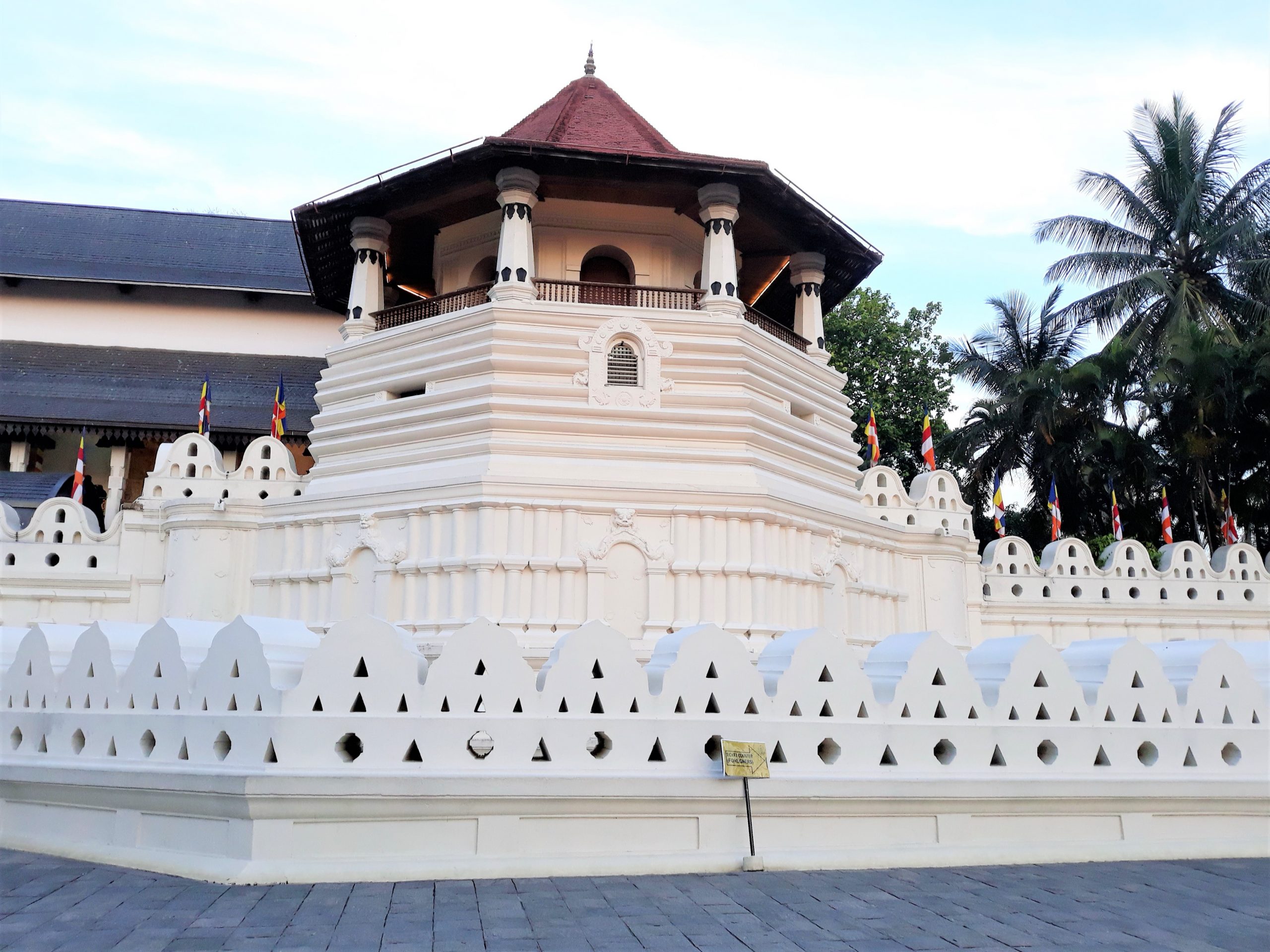 Nataša Vuković o Šri Lanki