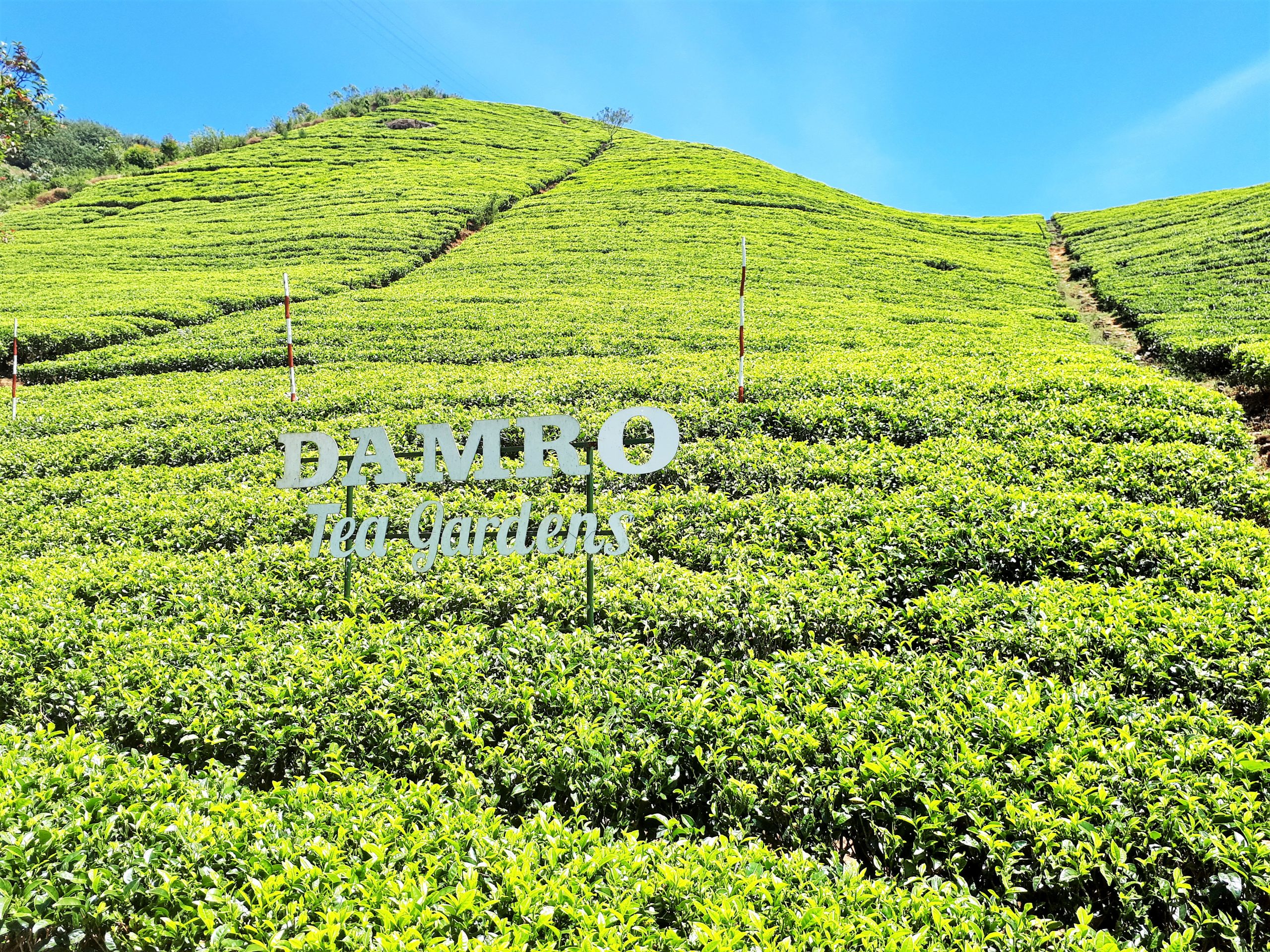 Nataša Vuković o Šri Lanki