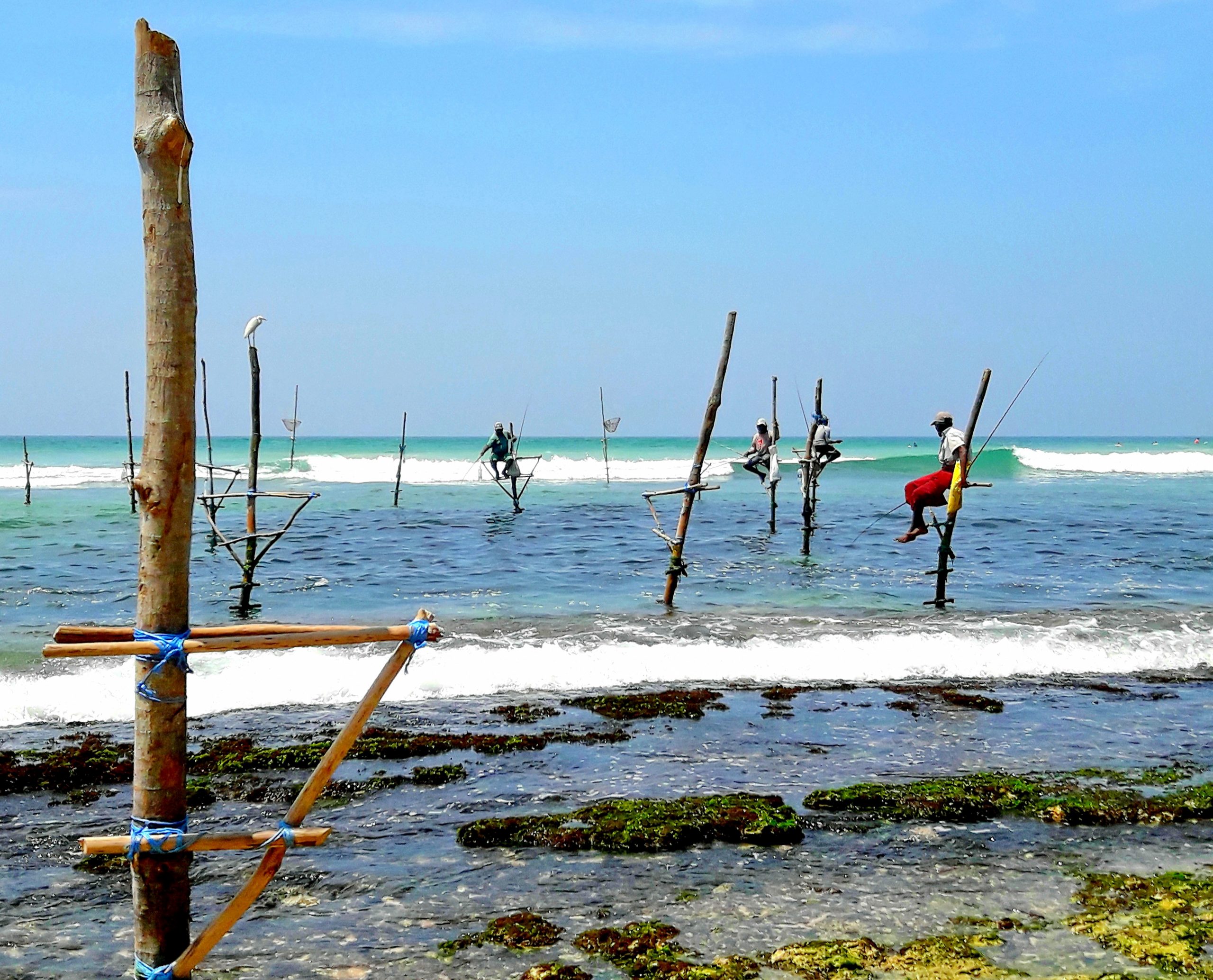 Nataša Vuković o Šri Lanki