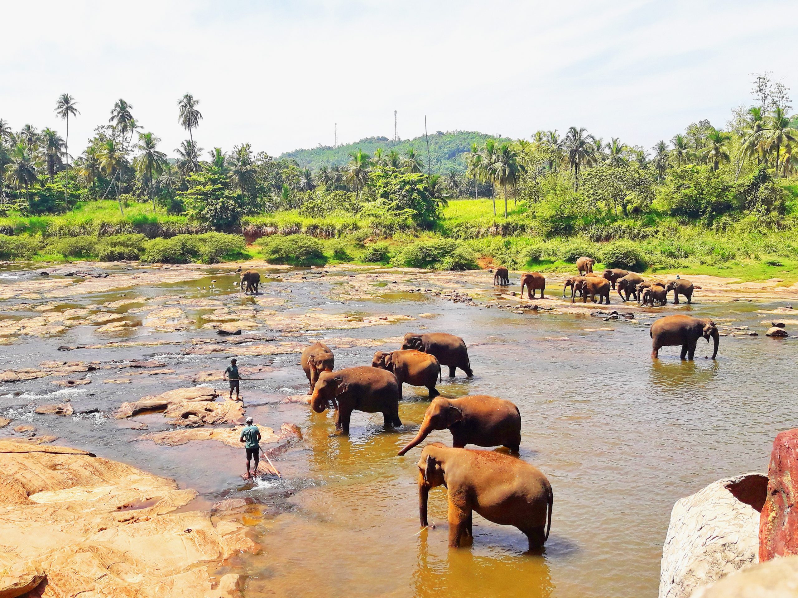 Nataša Vuković o Šri Lanki
