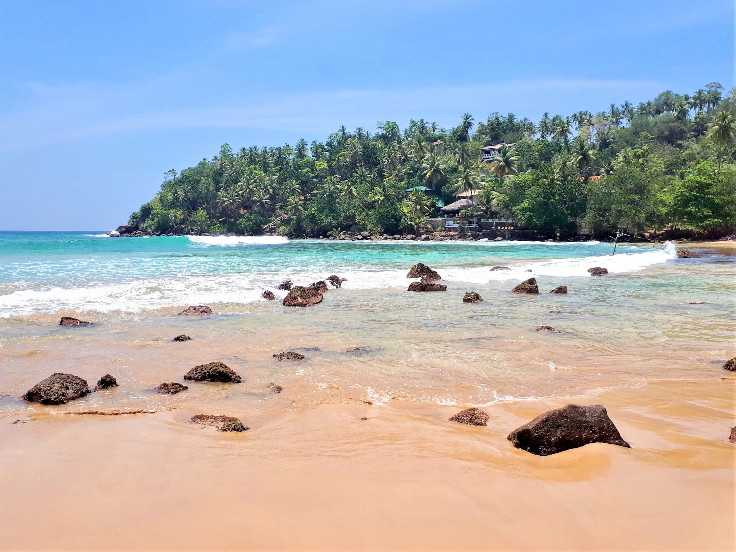 Nataša Vuković o Šri Lanki