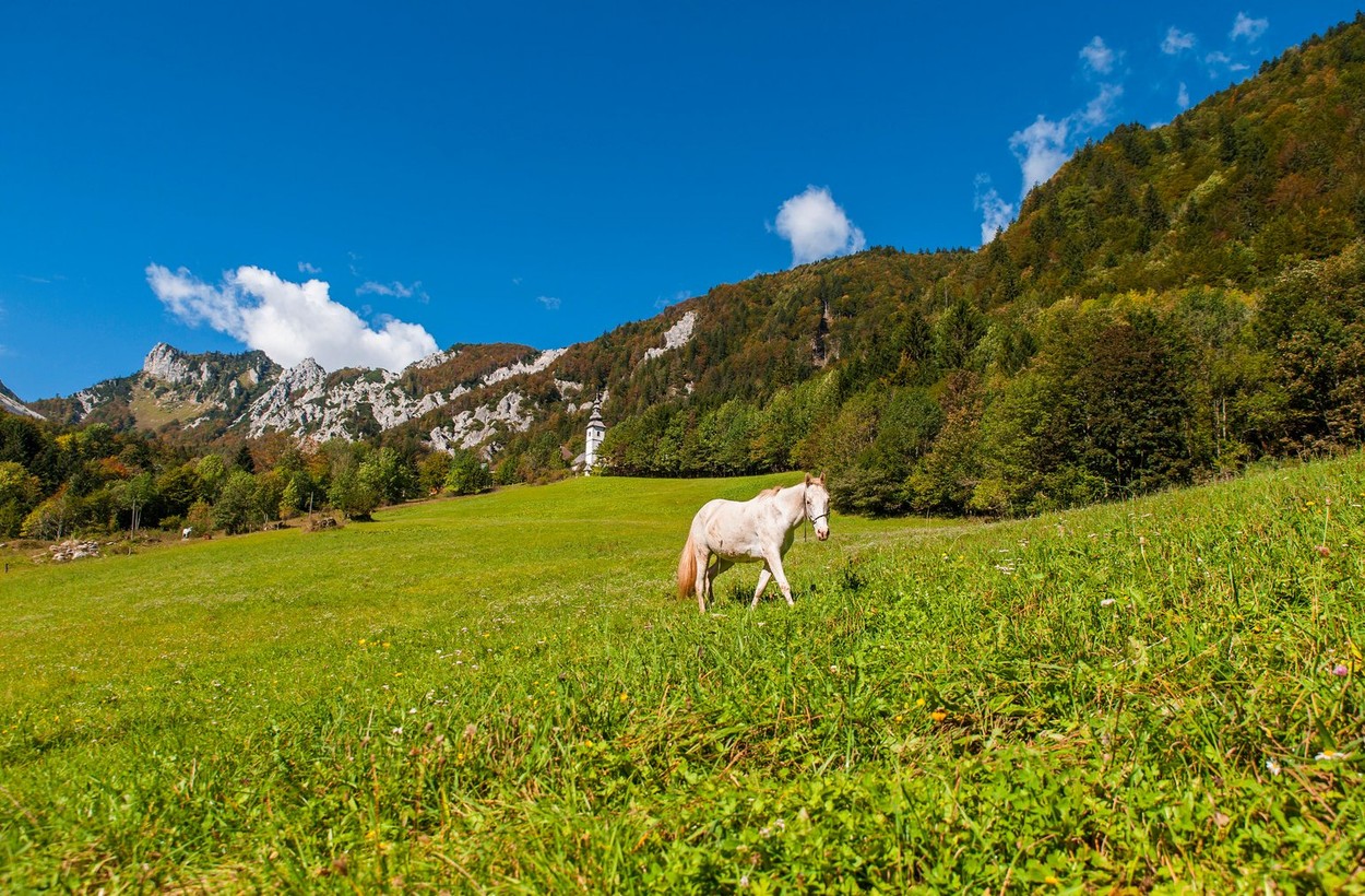 Ljubelj mountain pass, nature, Slovenia