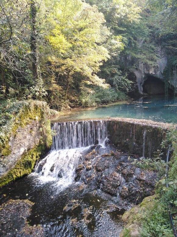Poslao Nenad Bozovic