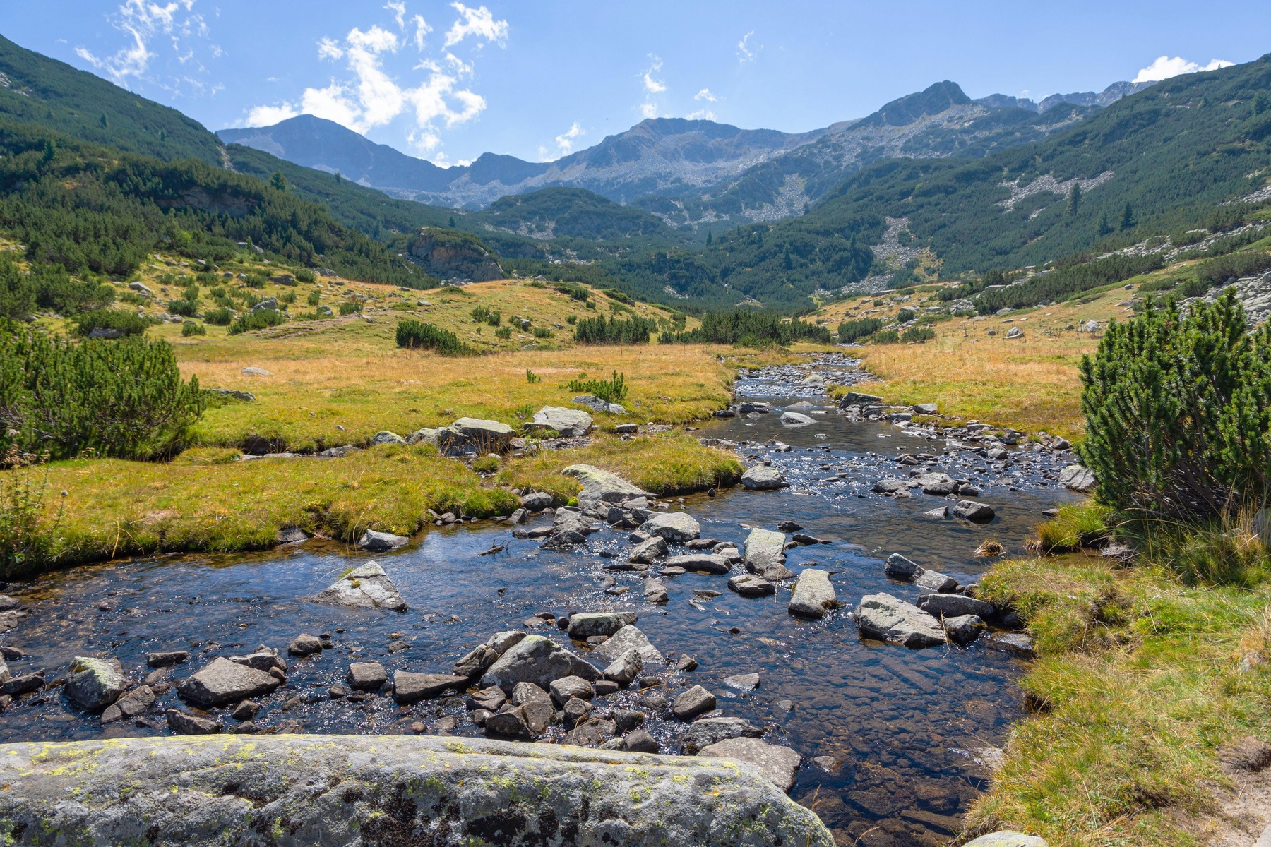 Image: 572697661, License: Royalty-free, Restrictions: , Model Release: no, Credit line: Georgi Stoyanov / Alamy / Alamy / Profimedia