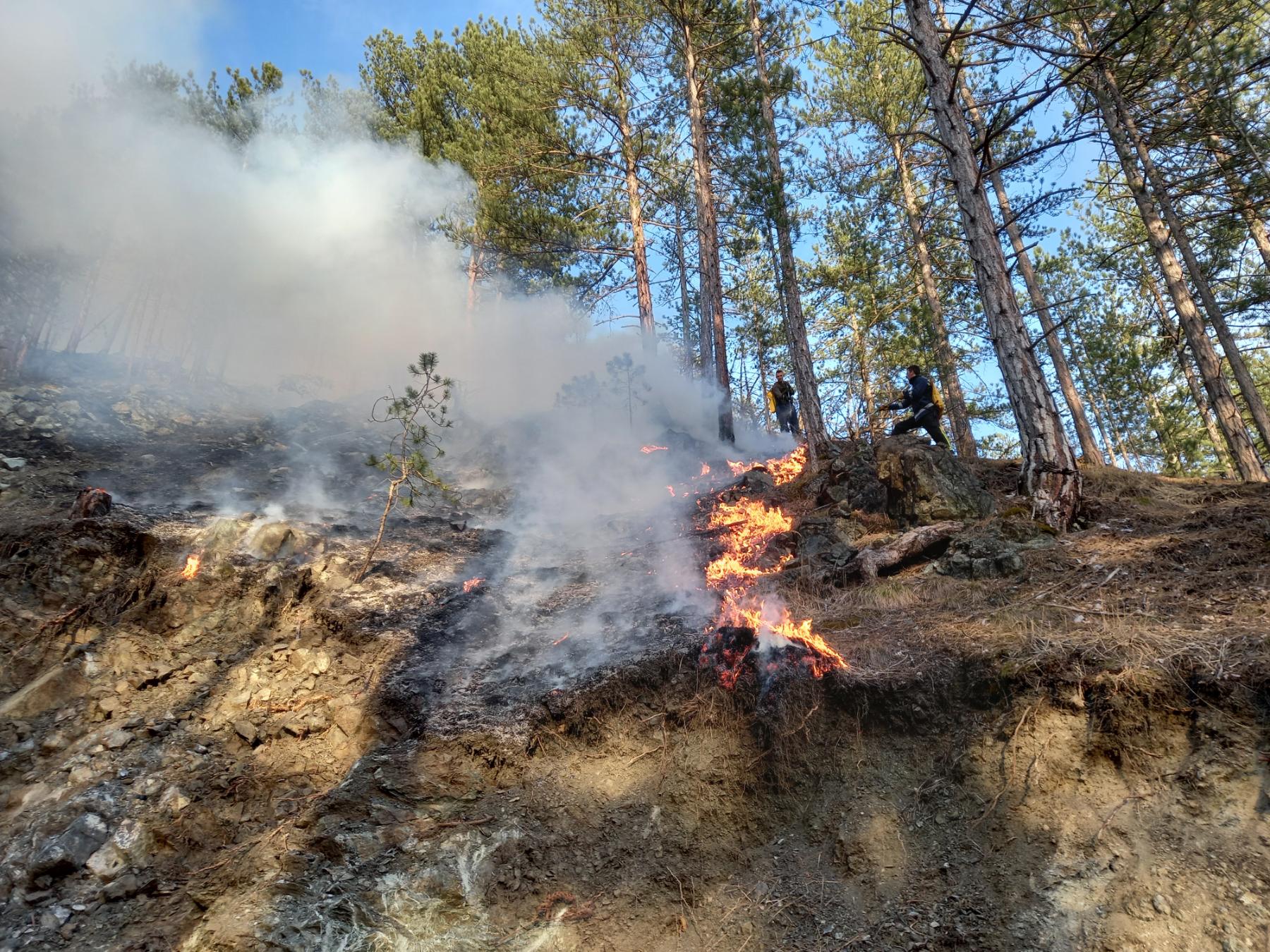 IMG-a53d3b05e0547d40d6c95a3019c447ec-V