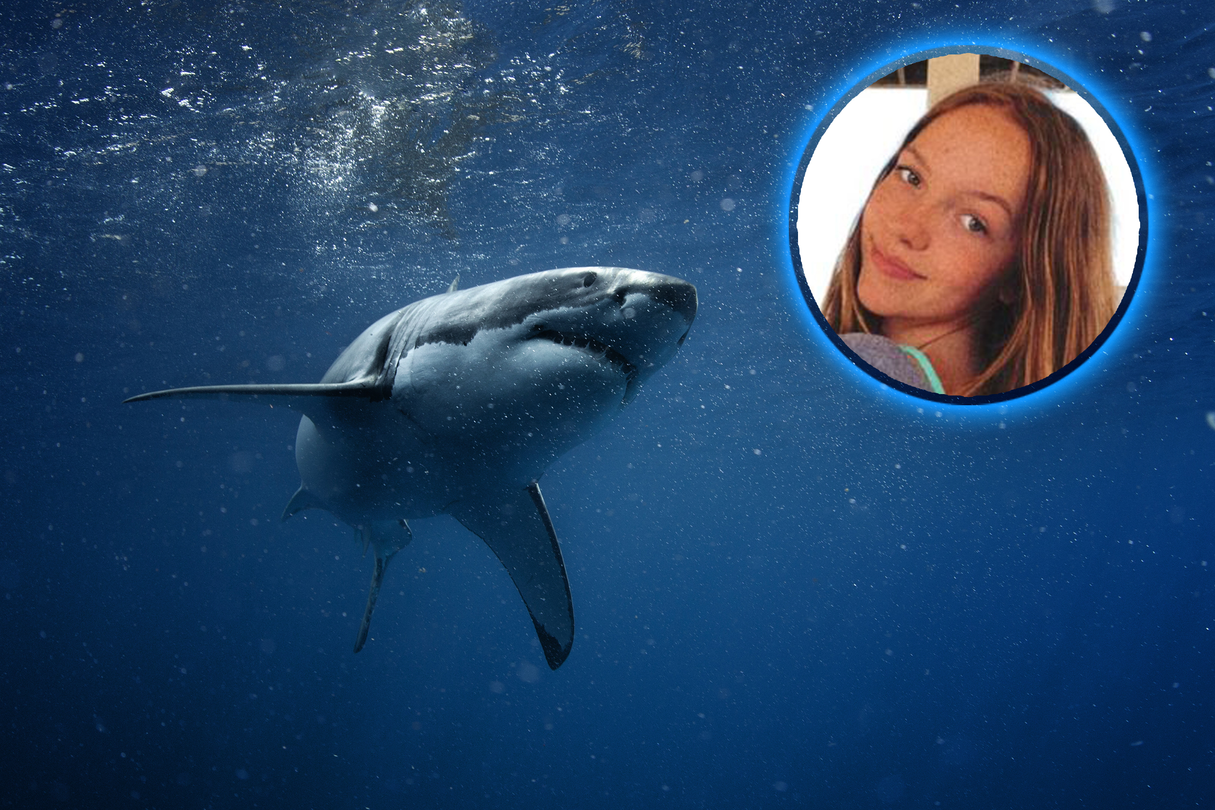 Great White Shark Underwater Photo in Open Water