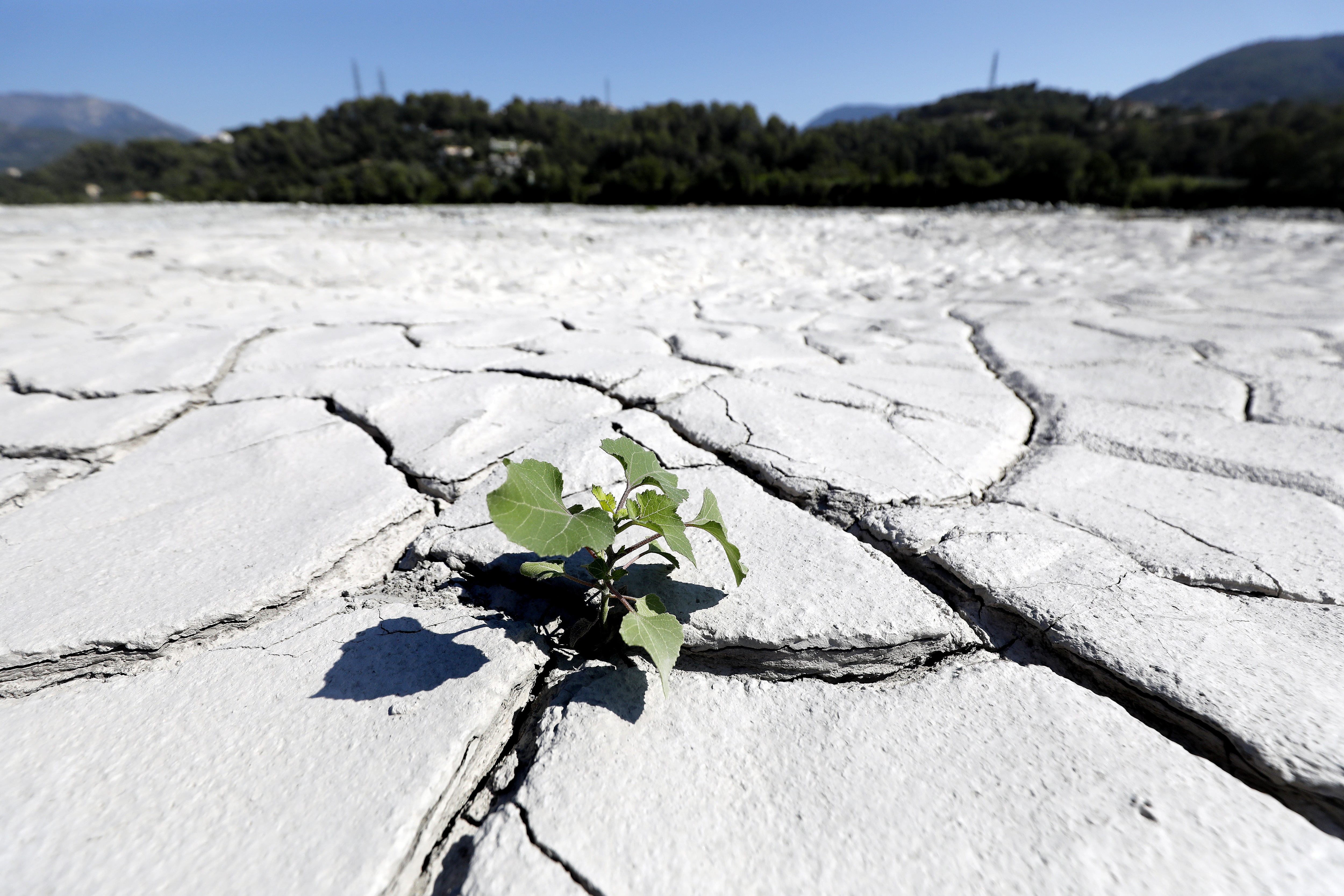 Suša Francuska, Drought in southern France