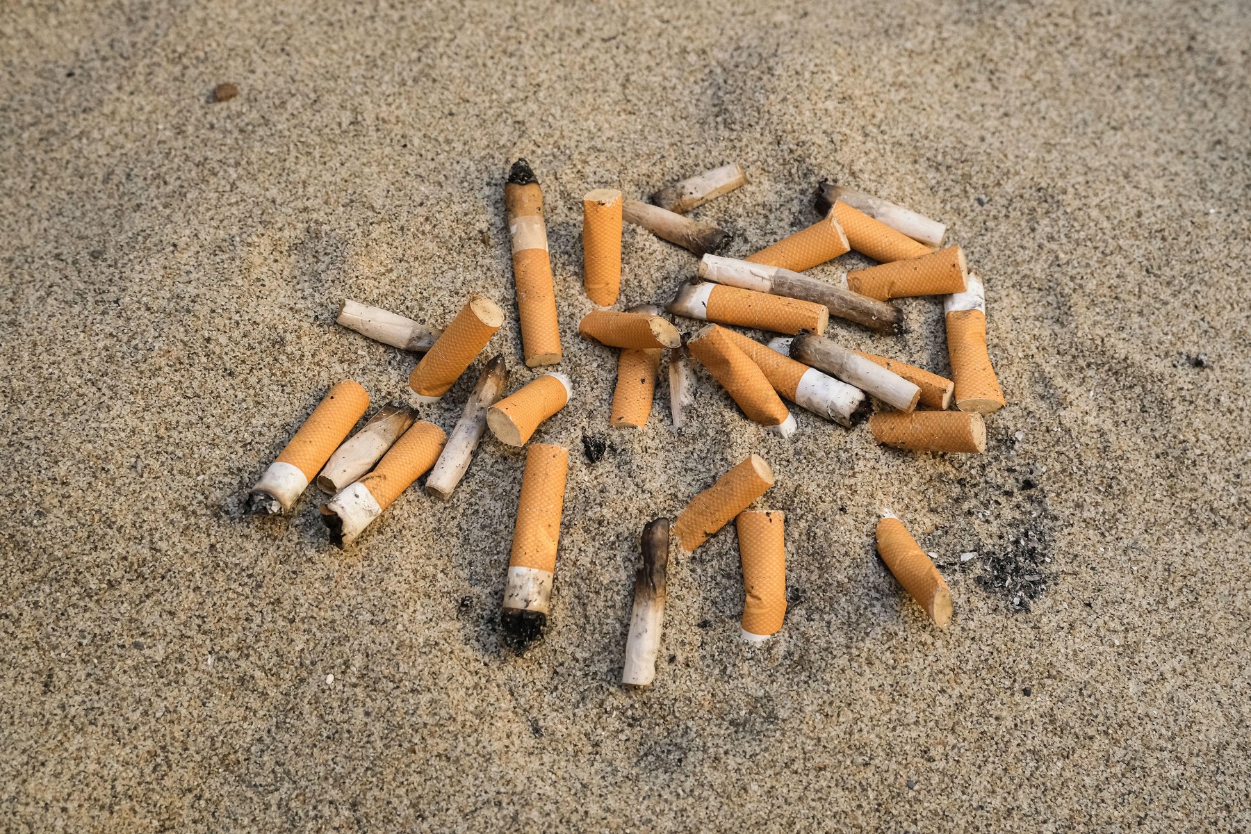 Cigarette butts discarded on sandy beach,ecosystem pollution cleanup.,Image: 535105326, License: Royalty-free, Restrictions: , Model Release: no, Credit line: Paolo Galasso / Alamy / Alamy / Profimedia