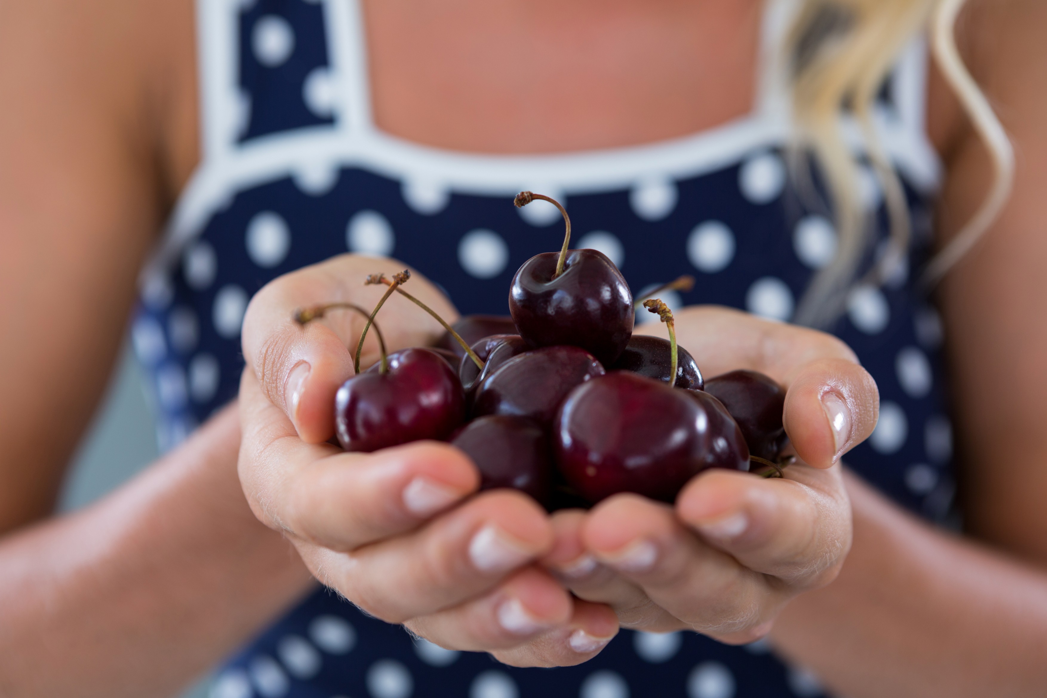 Close-up of woman holding cherries