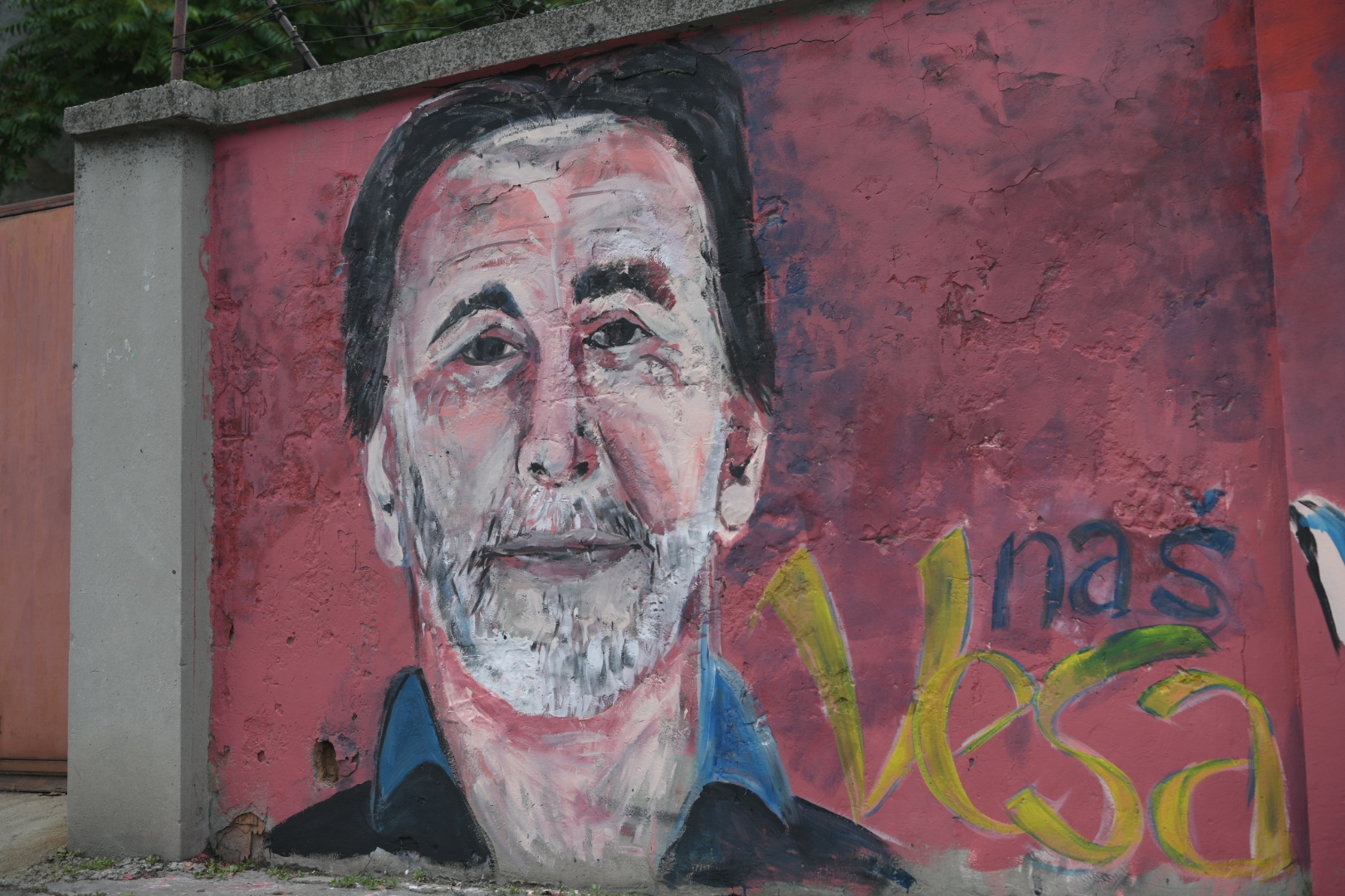 Veselin Vesa Simonović mural, dobracina ulica