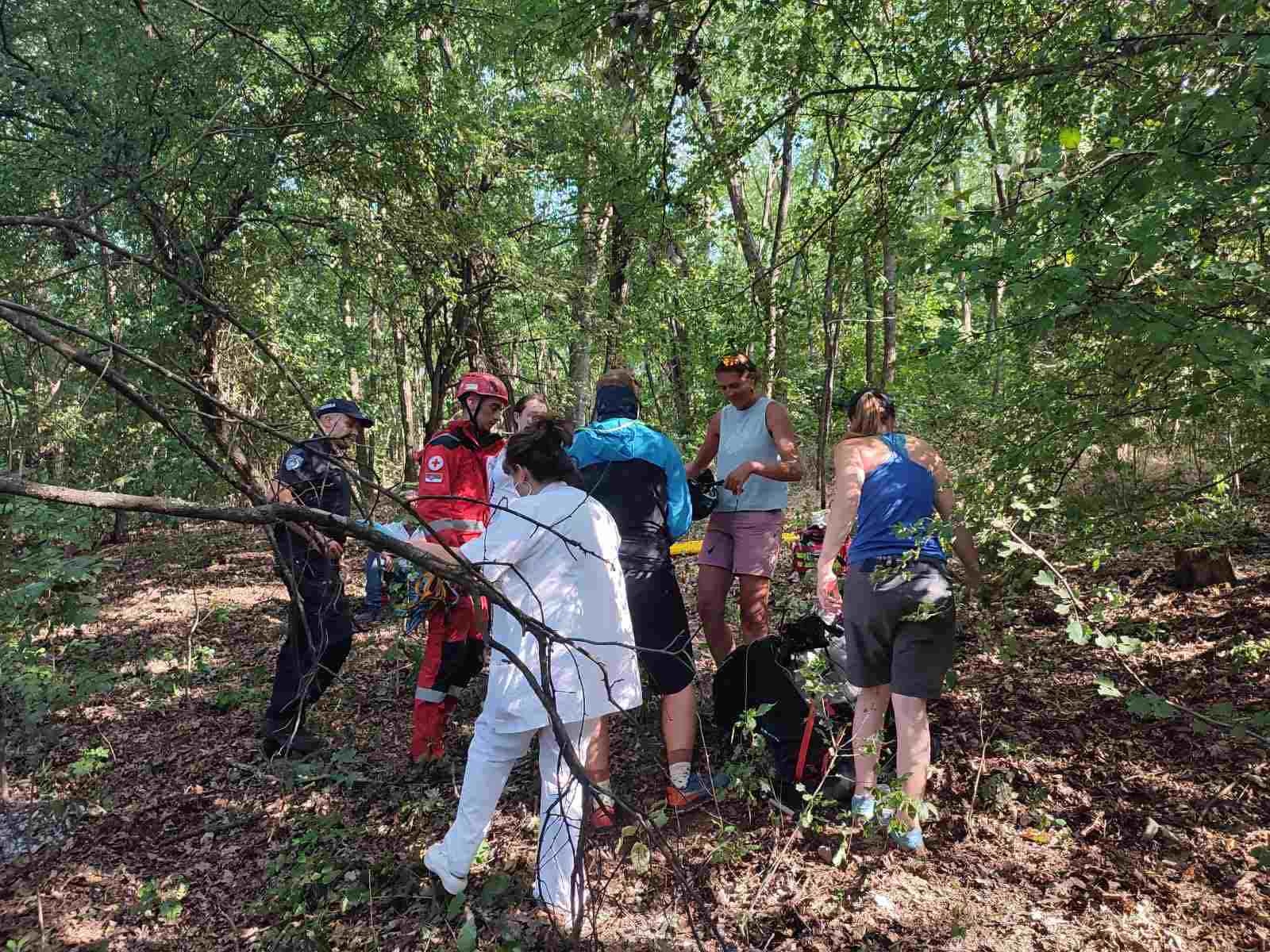 Niš, Paraglajderista zaglavljen na drvetu, paraglajeder se zaglavio na drvetu, akcija, spašavanje, spasvanje Foto: MUP