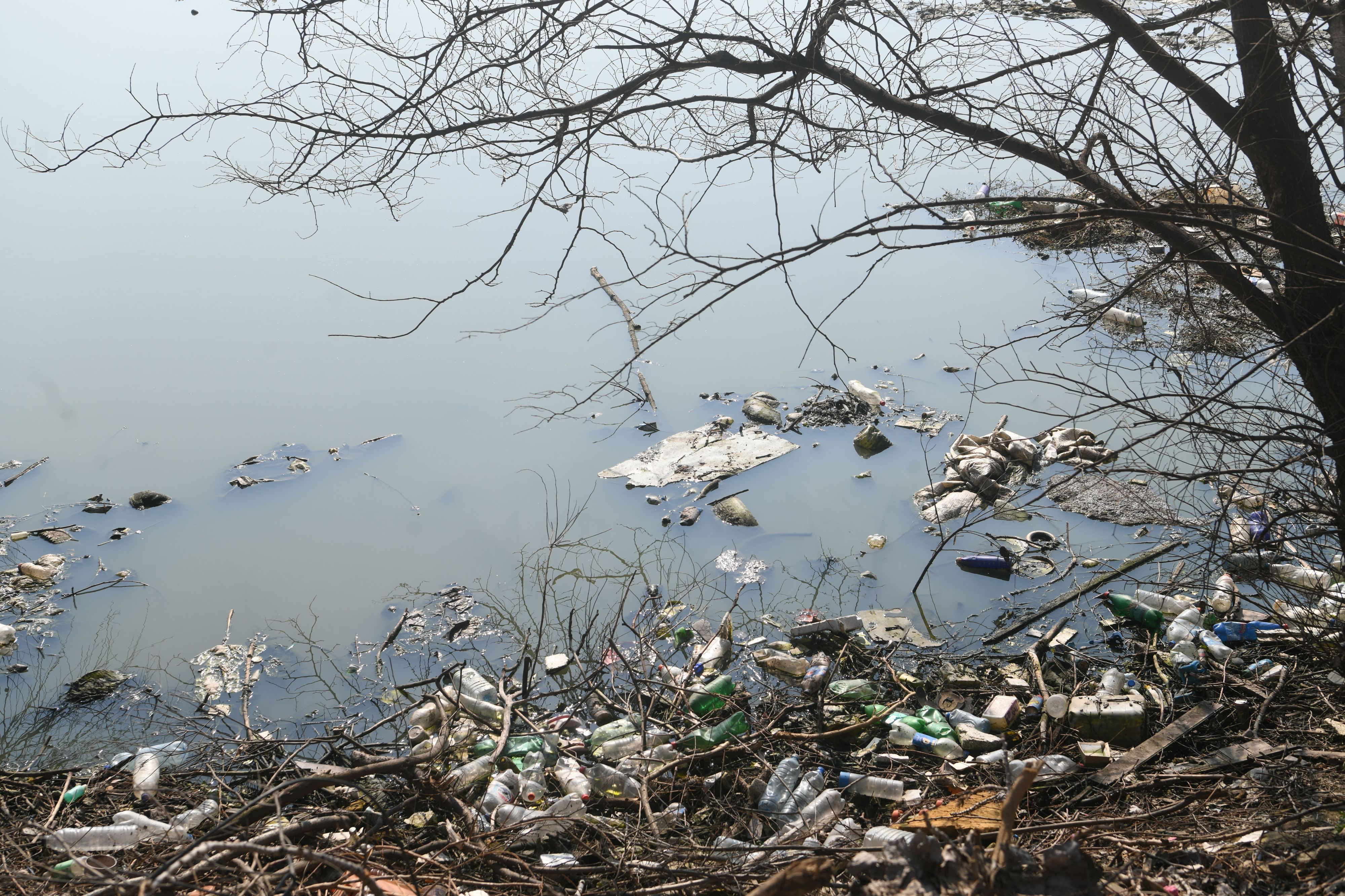 reportaža o deponijama deponija