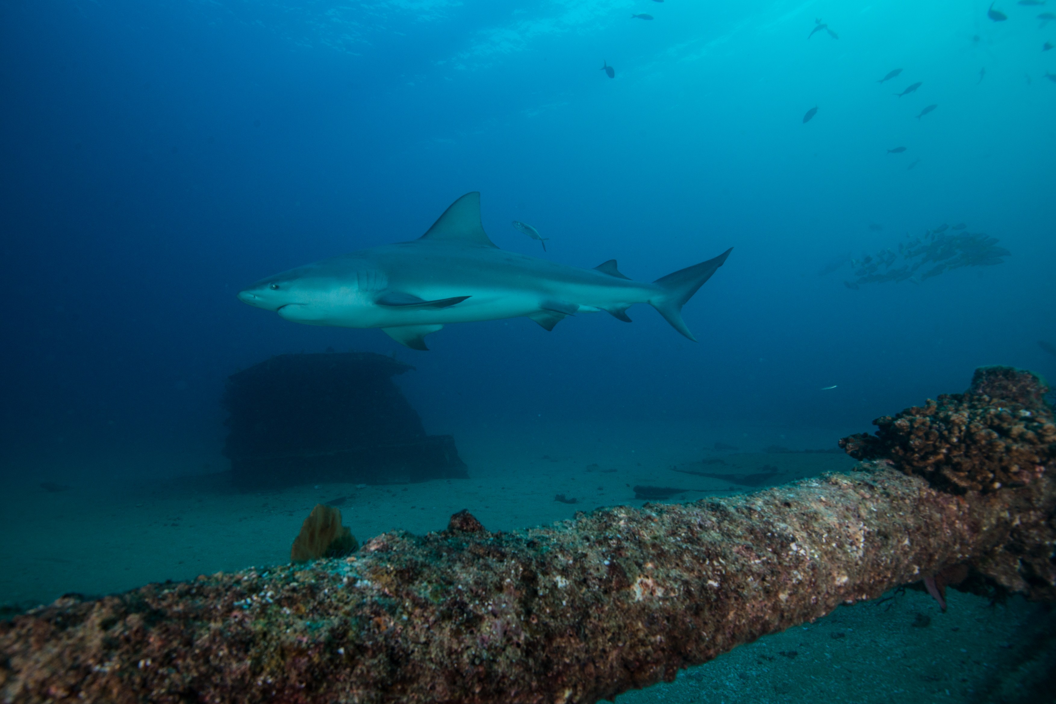 Foto: Rodrigo Friscione / ImageSource / Profimedia