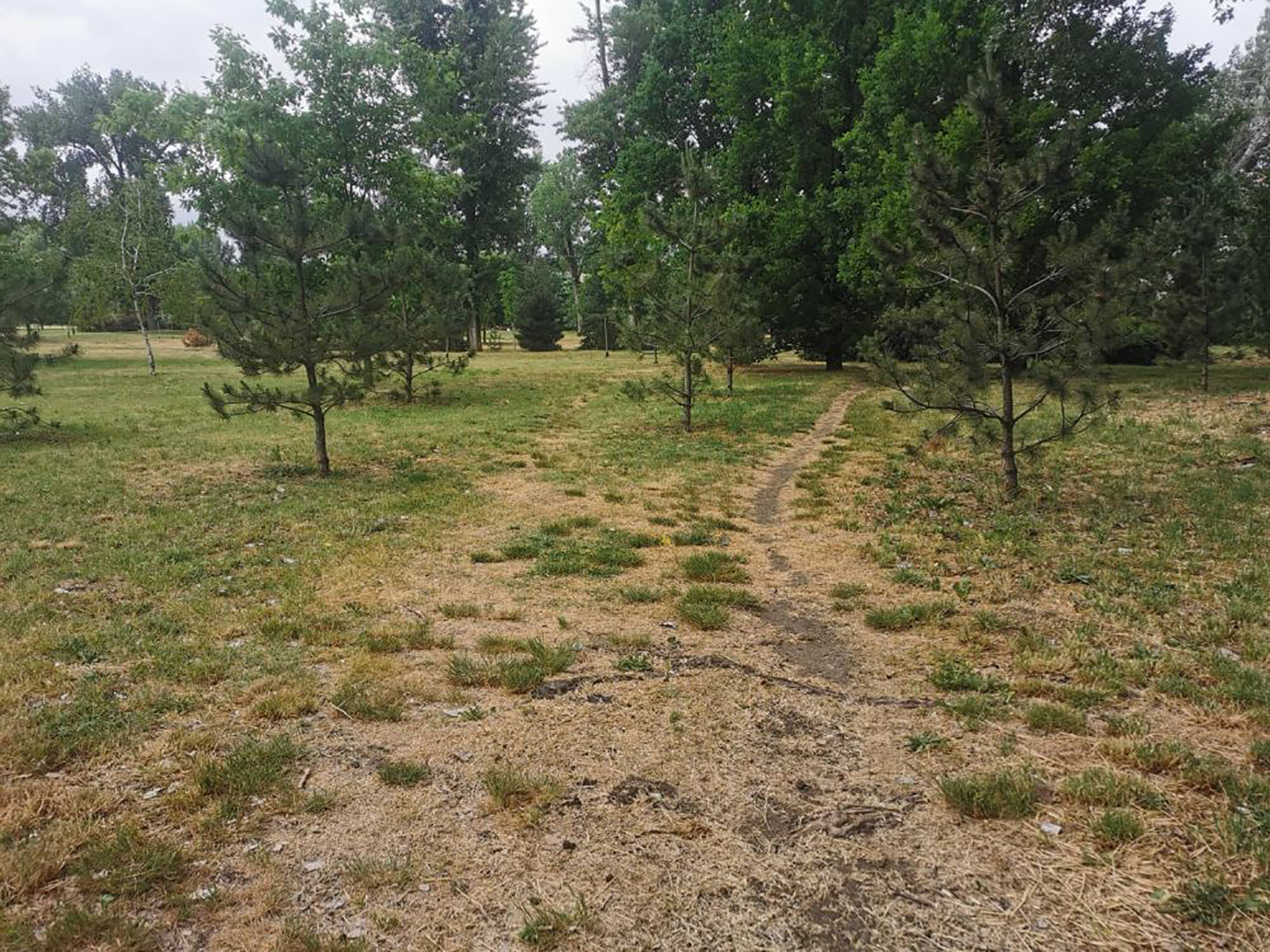 novi sad limanski park zalivni sistem