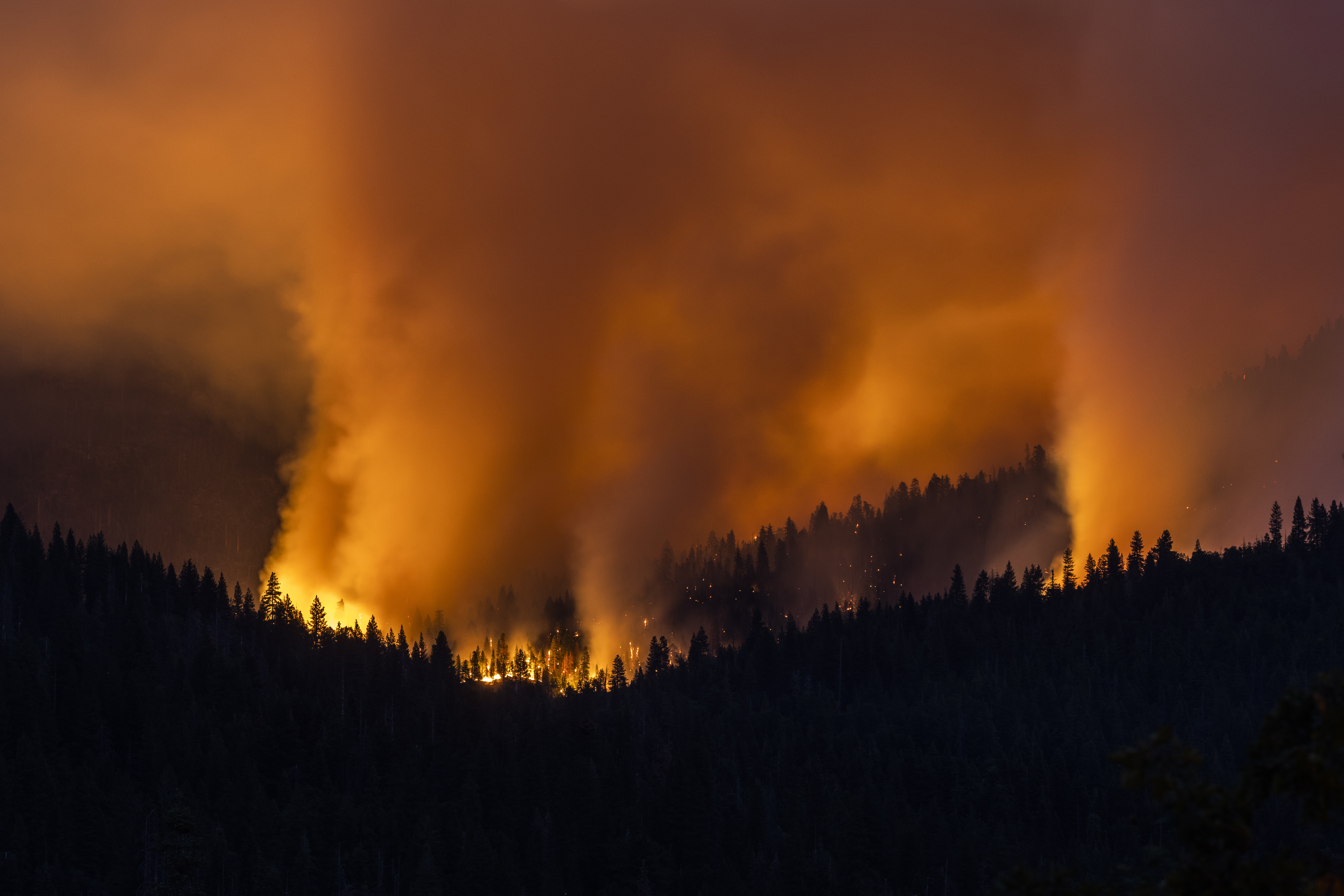 The Washburn Fire burns on a hillside in Yosemite National Park, Calif.,  Saturday, July 9, 2022. (Stephen Lam/San Francisco Chronicle via AP)