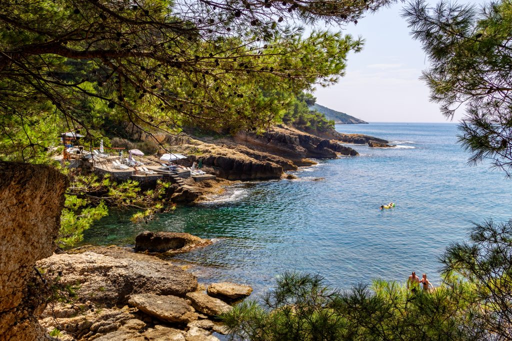 1657787346-shutterstock_1240044985-1024x683